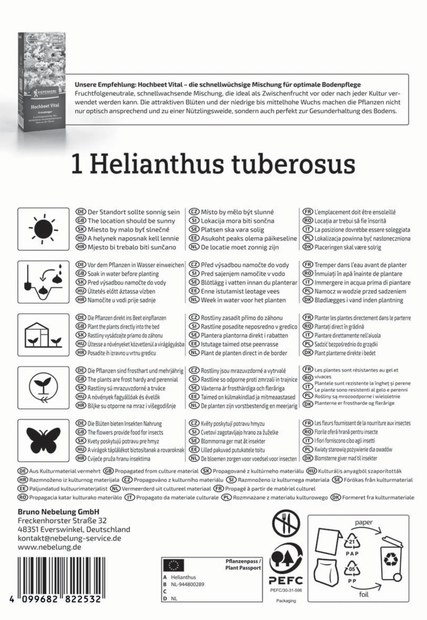 Kiepenkerl Pflanzgut Topinambur Helianthus tuberosus 1 Stück