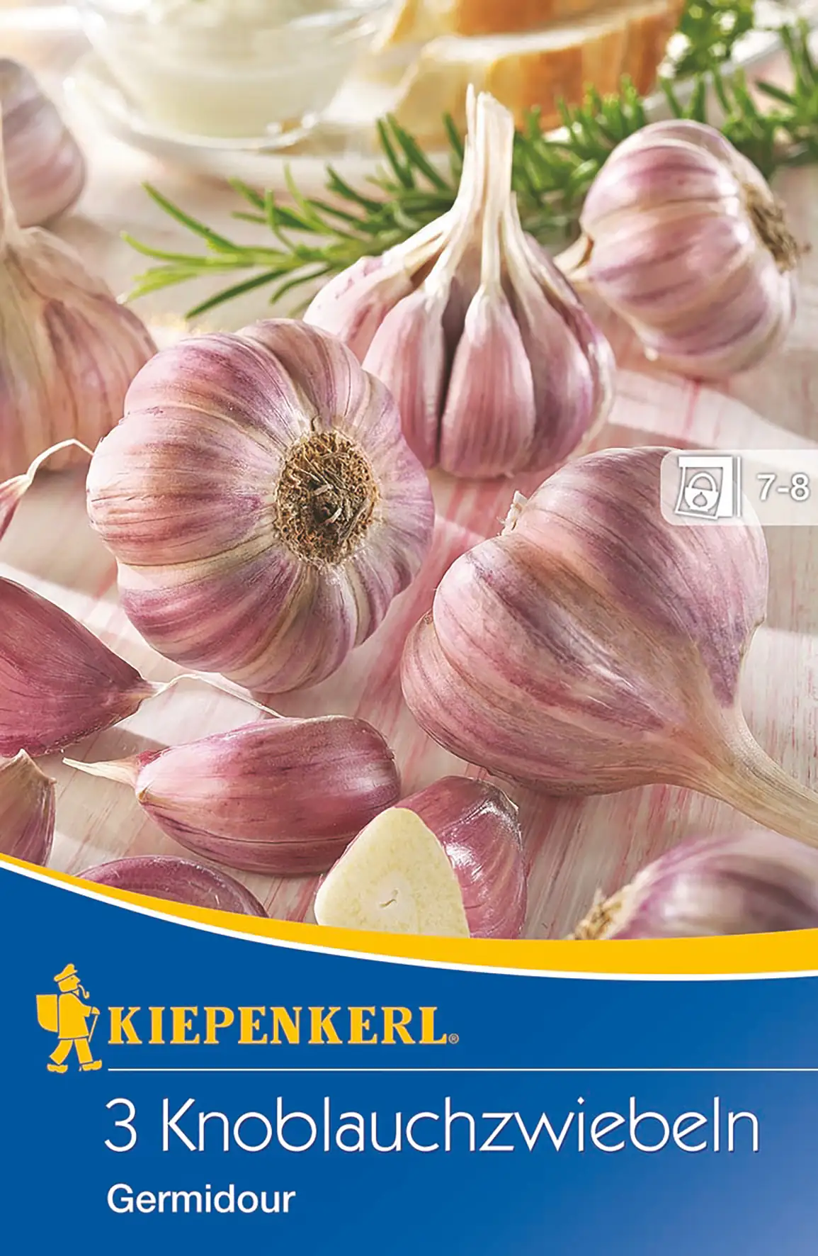 Kiepenkerl Knoblauch Germidour Allium sativum