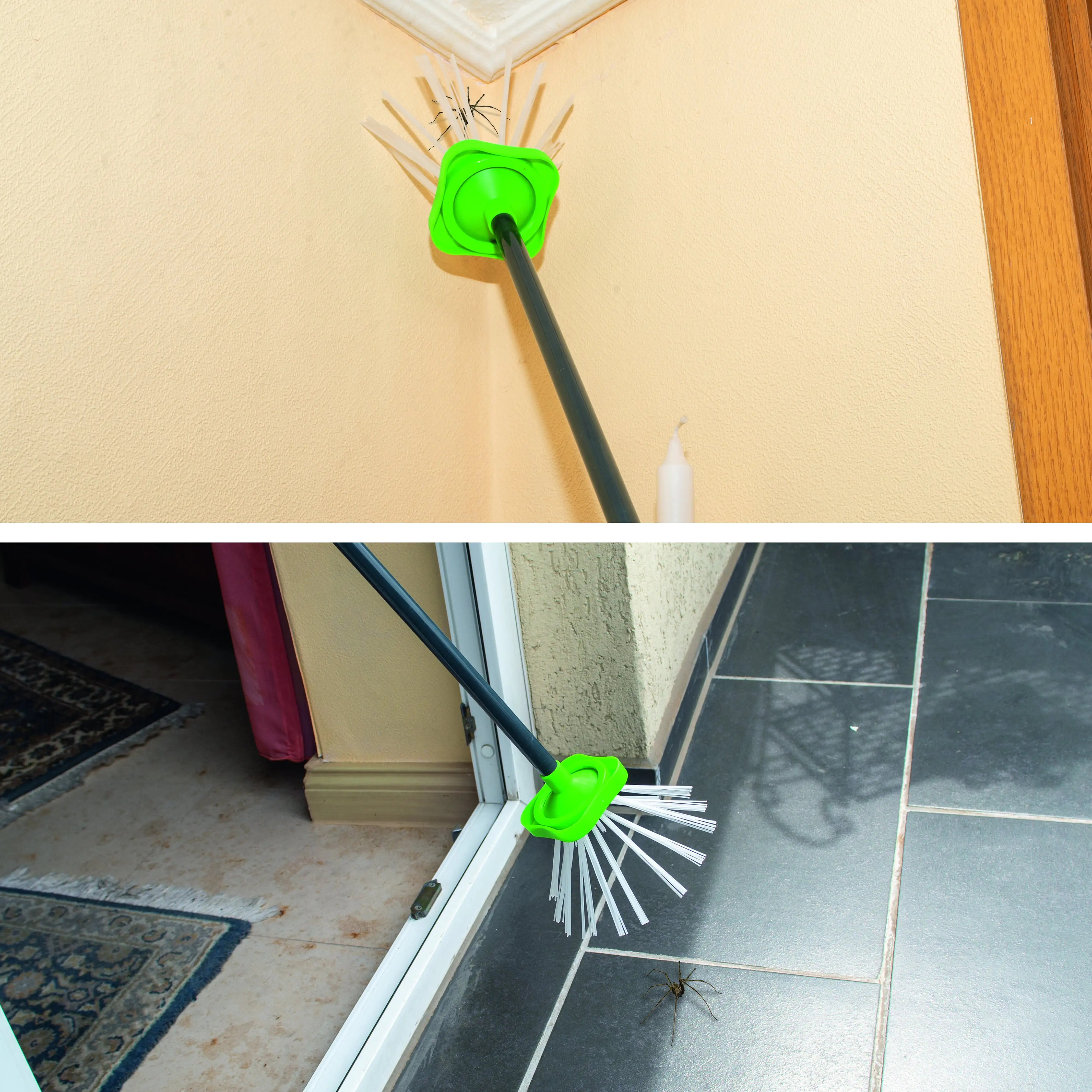 Gardigo Spinnen-Lebendfänger ohne Chemie, ohne Tod