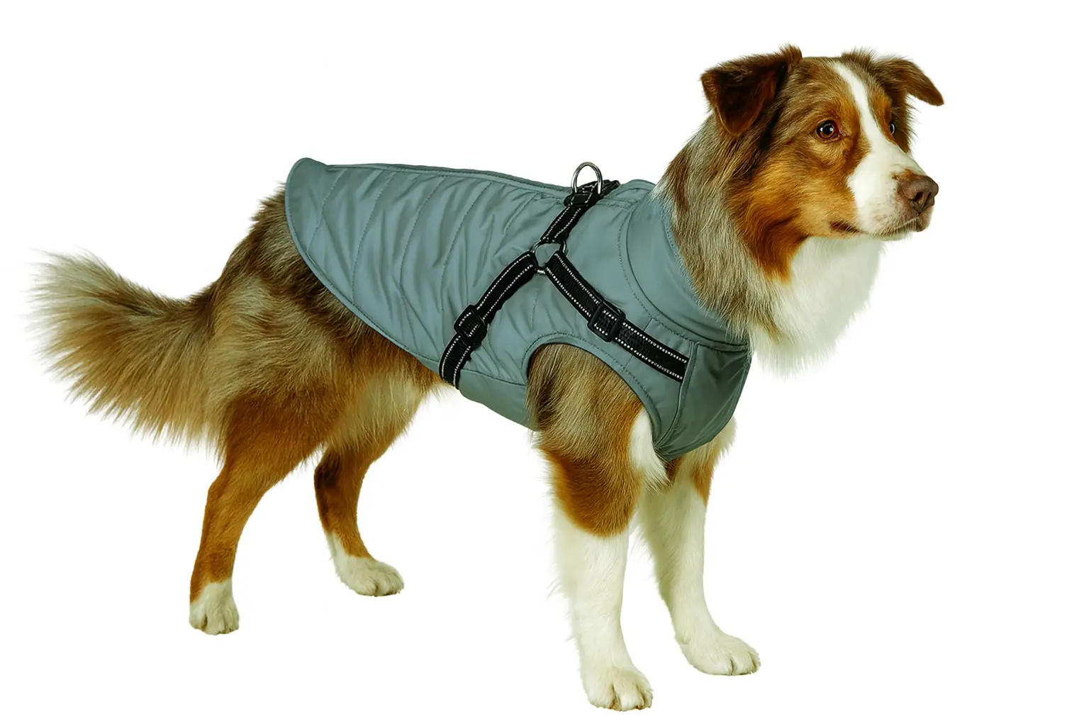 Nobby Hundemantel Full Reflect 2 in 1 silber