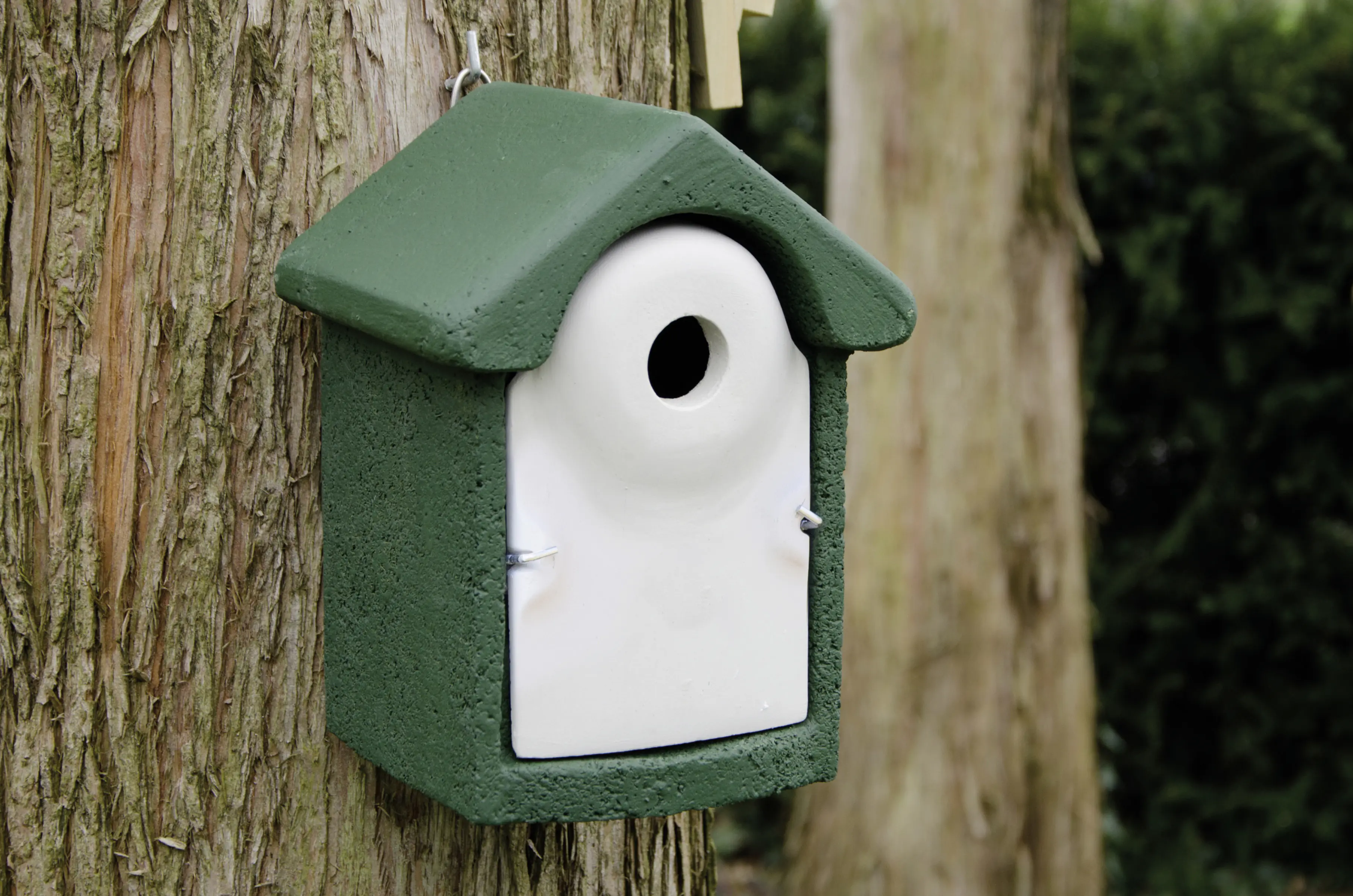 CJ Wildlife Nistkasten Holzbeton grün/weiß LxBxH: 24x19x18 cm CJ Wildlife Nistkasten Holzbeton grün/weiß LxBxH: 24x19x18 cm