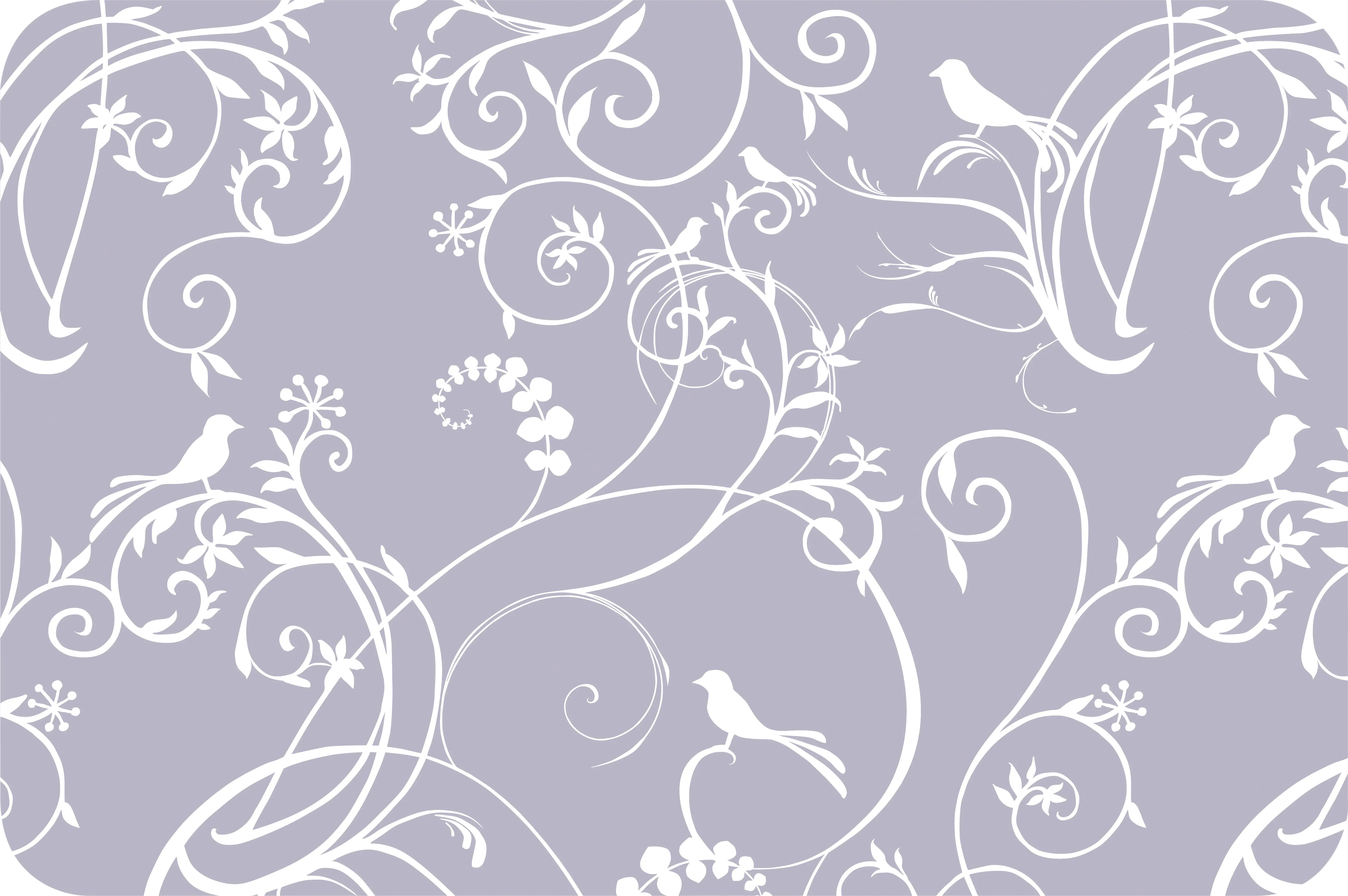 d-c-table® Tischset Rio Alisa 44 x 29 cm, transparent