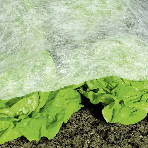 Frühbeetvlies 1,5 x 5 m