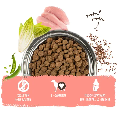 Bosch Active Trockenfutter für aktive Hunde Adult 3 kg mit Geflügel Bosch Active Trockenfutter für aktive Hunde Adult 3 kg mit Geflügel