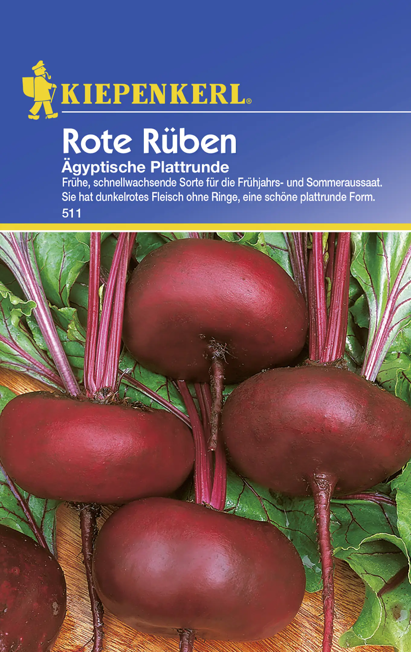 Kiepenkerl Rote Rübe Ägyptische Plattrunde Beta vulgaris var. vulgaris, Inhalt: ca. 100 Pflanzen