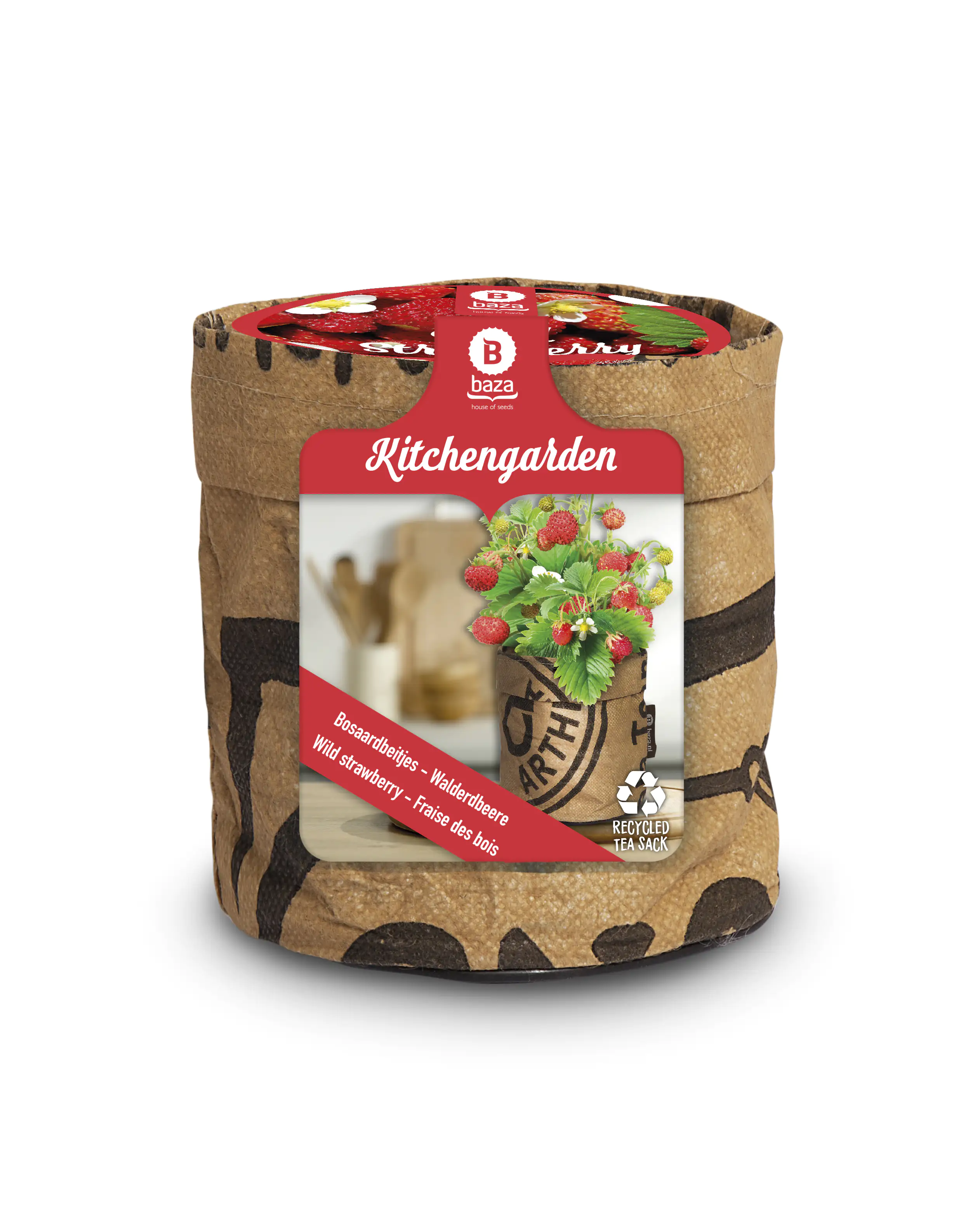 Baza Seeds Kitchengarden Walderdbeere rot