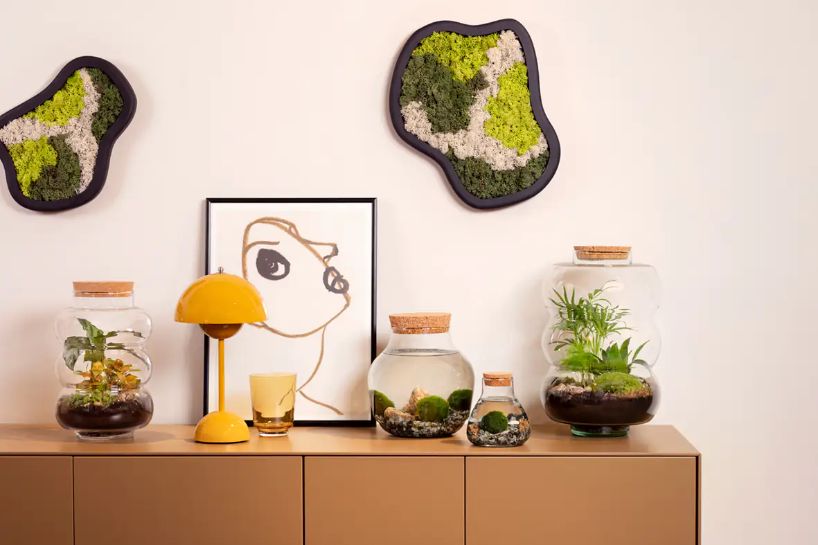 Flaschengarten DIY-Set Rund Medium 7-teilig