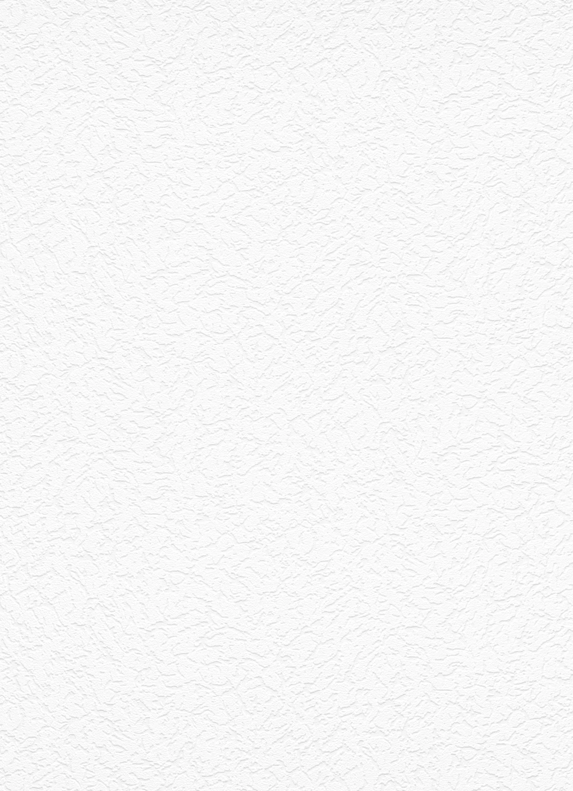 Erismann Vliestapete Putzstruktur weiß 15 x 0,53 m