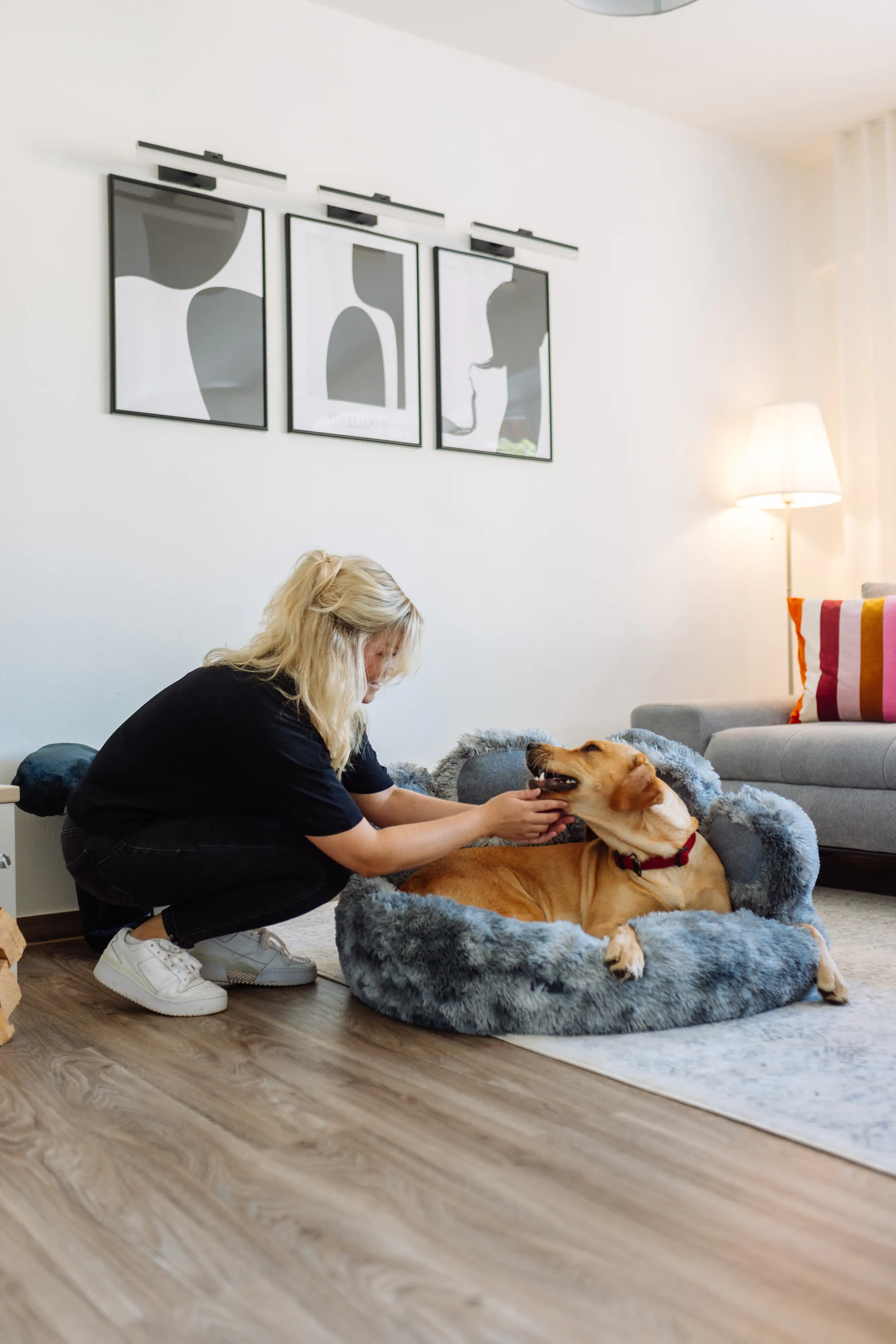 Nobby Komfortbett Paw rund Ø 75 x 21 cm/42 cm grau Nobby Komfortbett Paw rund Ø 75 x 21 cm/42 cm grau