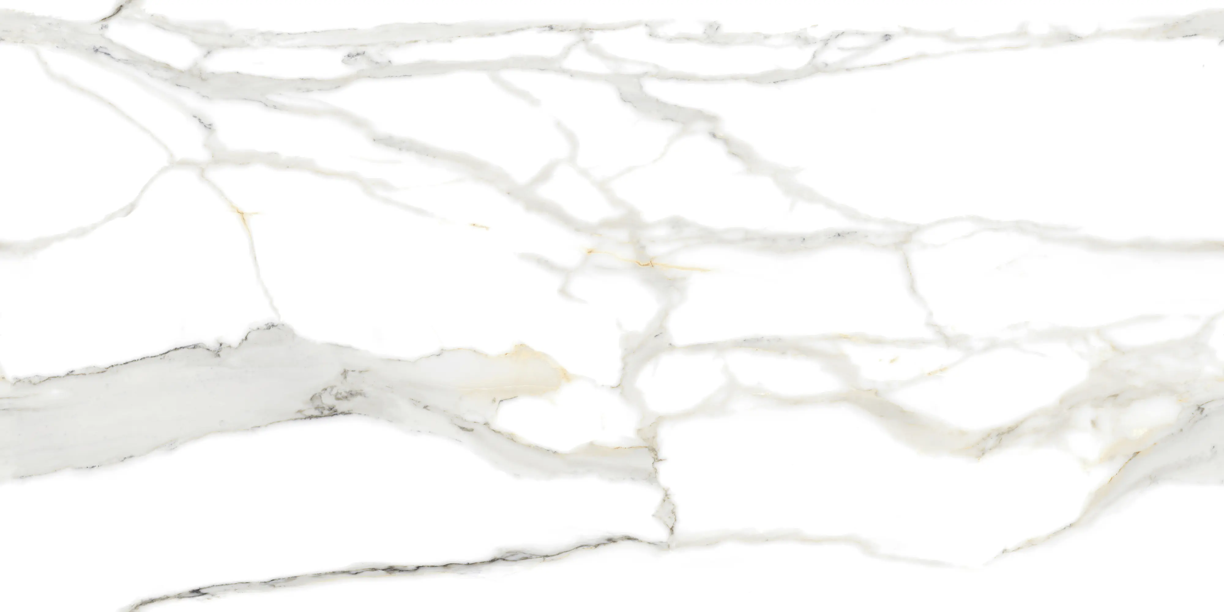 Bodenfliese Feinsteinzeug Continua Calacatta 60 x 120 cm gold