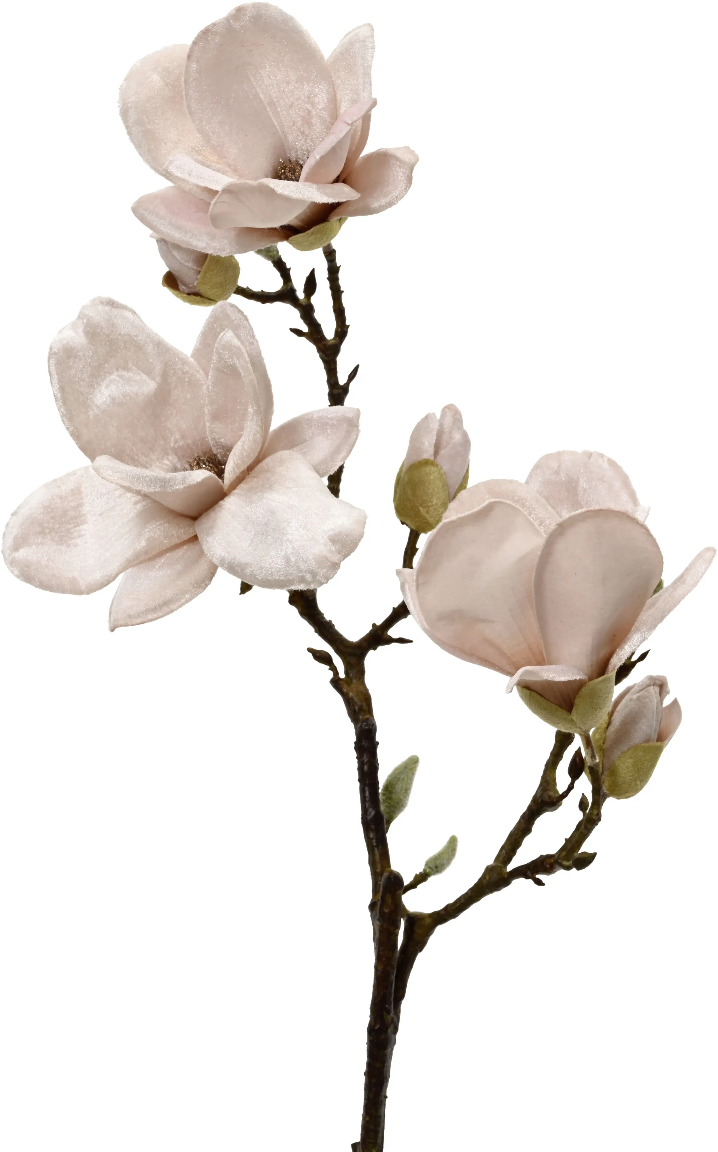 Everlands Weihnachtsdeko Magnolie 23 x 18 x 91,5 cm rosa