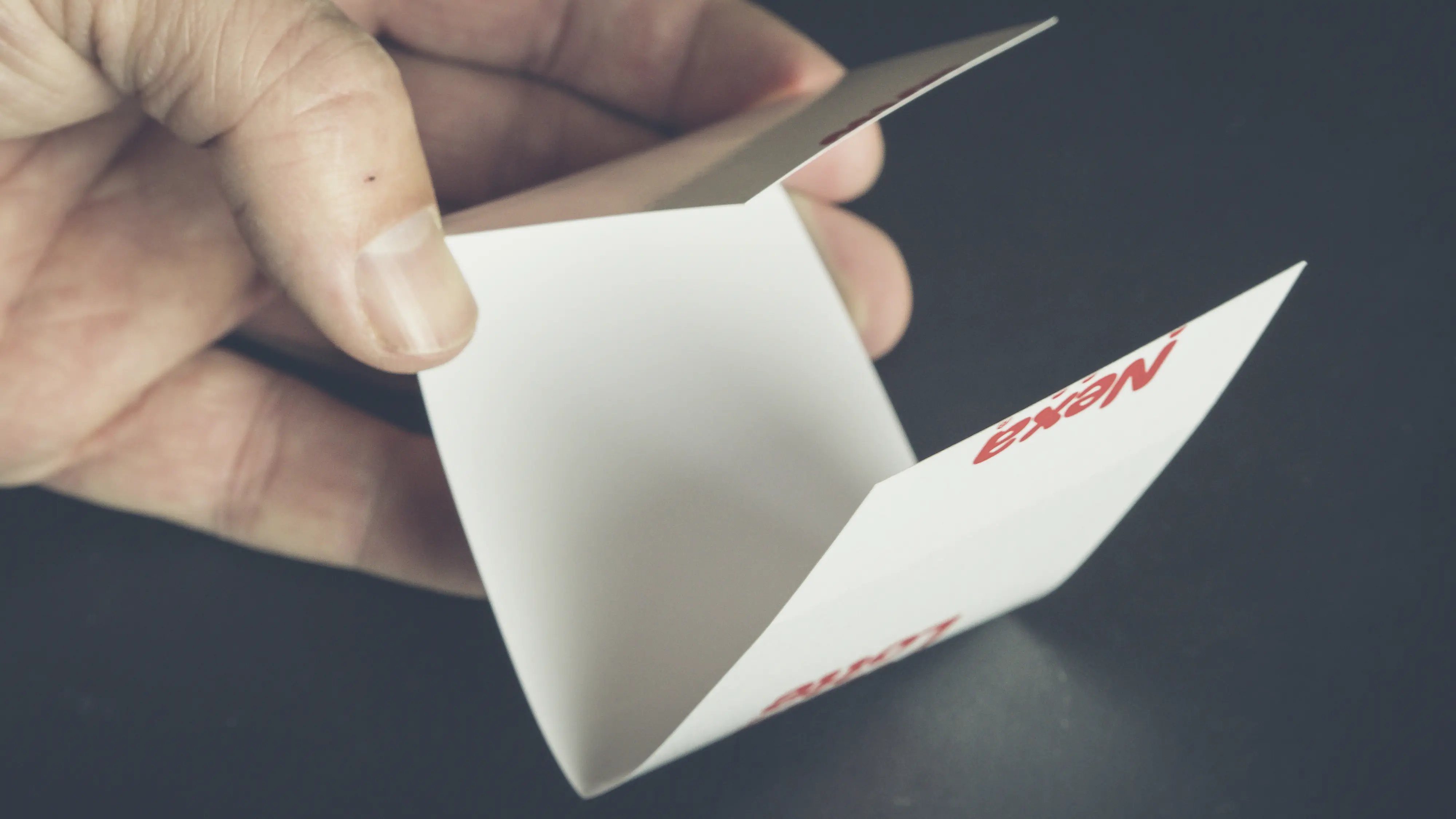 Nexa Lotte Silberfischchen-Falle 3 Stück