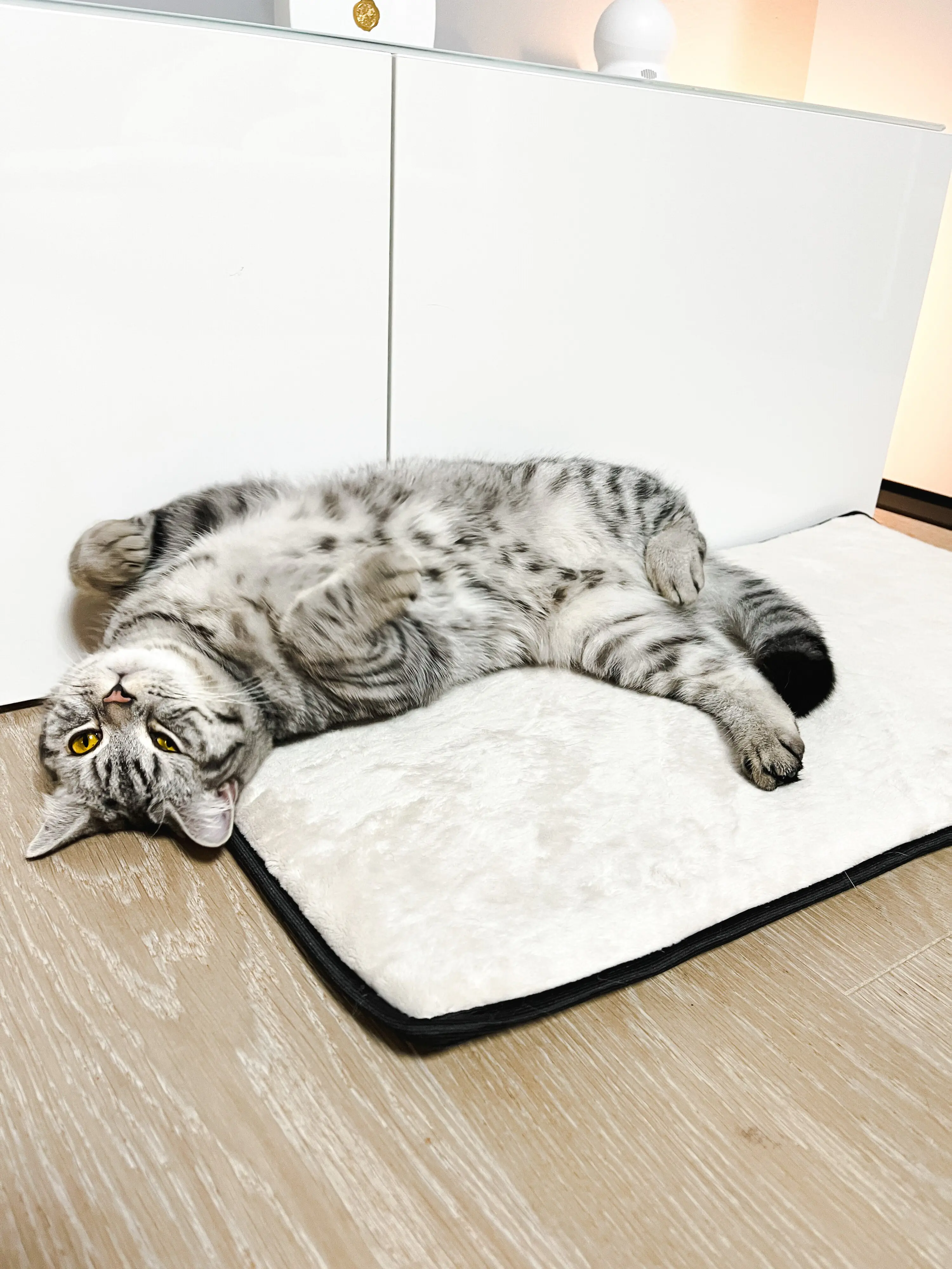 Lebon Fensterbankauflage für Katzen Banki 77 x 39 cm elfenbein 