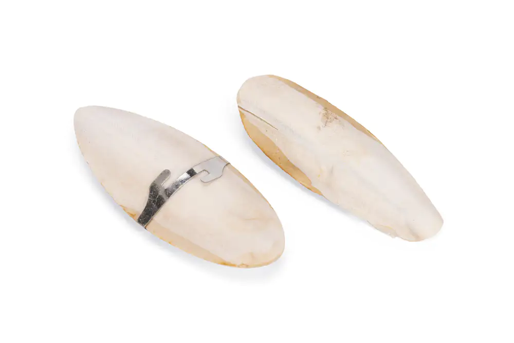 Sepiaschale 2Stück 13,5cm