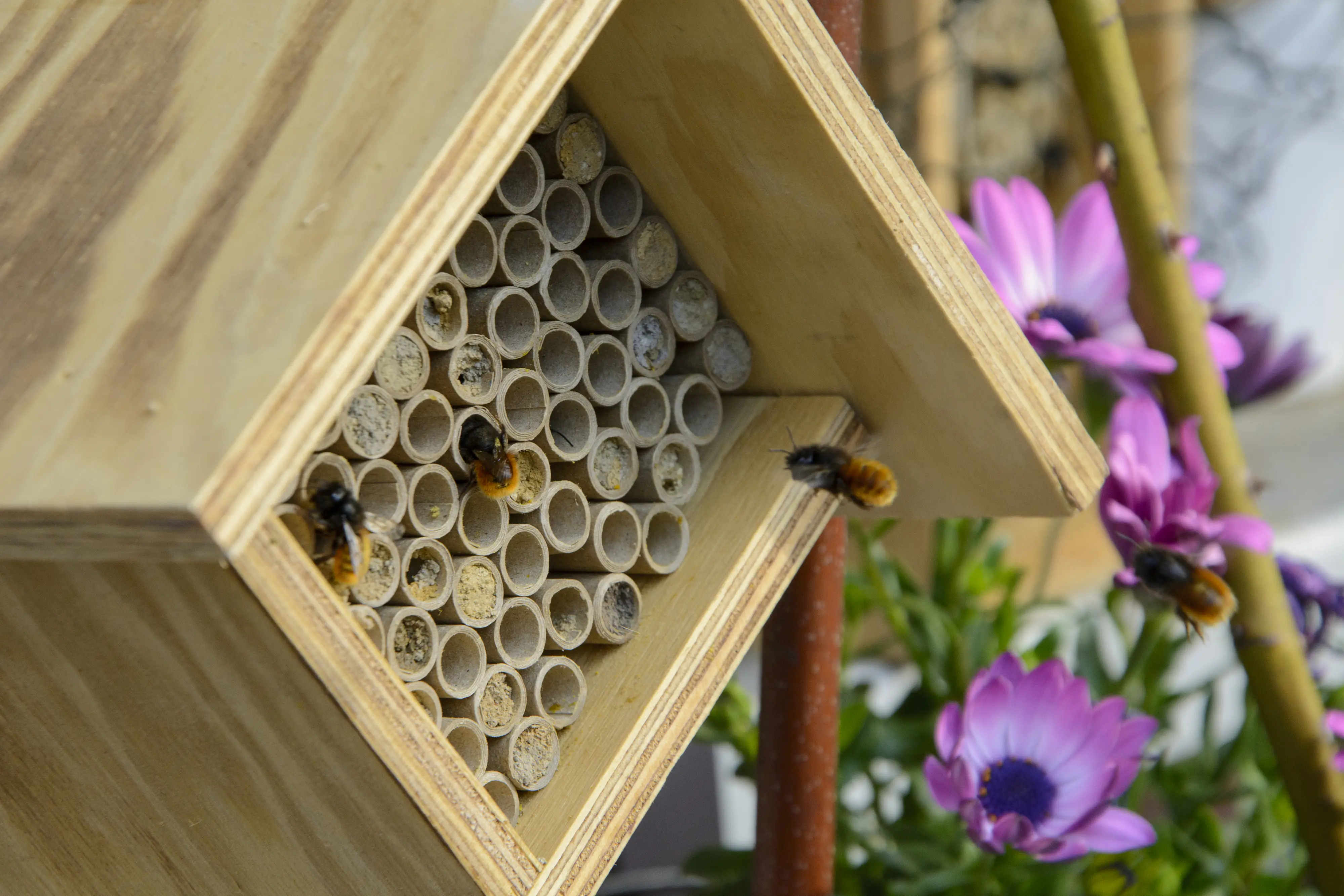 Dobar Bienenhaus Square 19 x 12,5 x 16 cm braun Dobar Bienenhaus Square 19 x 12,5 x 16 cm braun