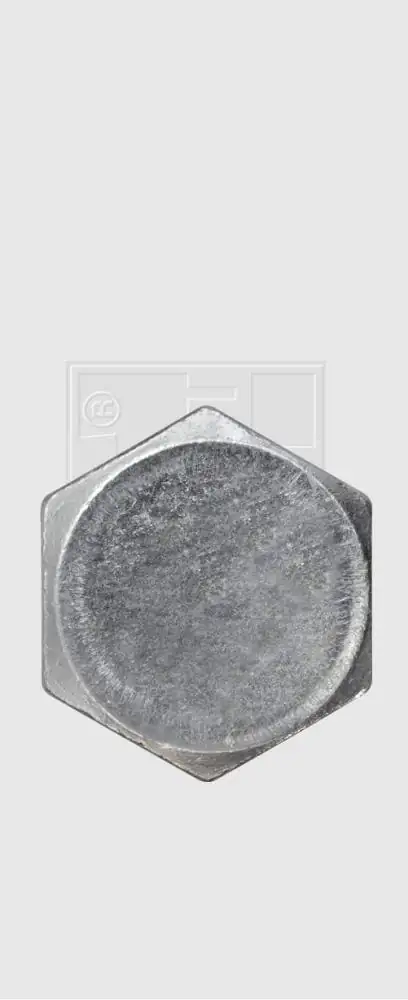 SWG Ölablassschraube Opel VW DIN 7604 14x1,5 mit Dichtring SWG Ölablassschraube Opel VW DIN 7604 14x1,5 mit Dichtring