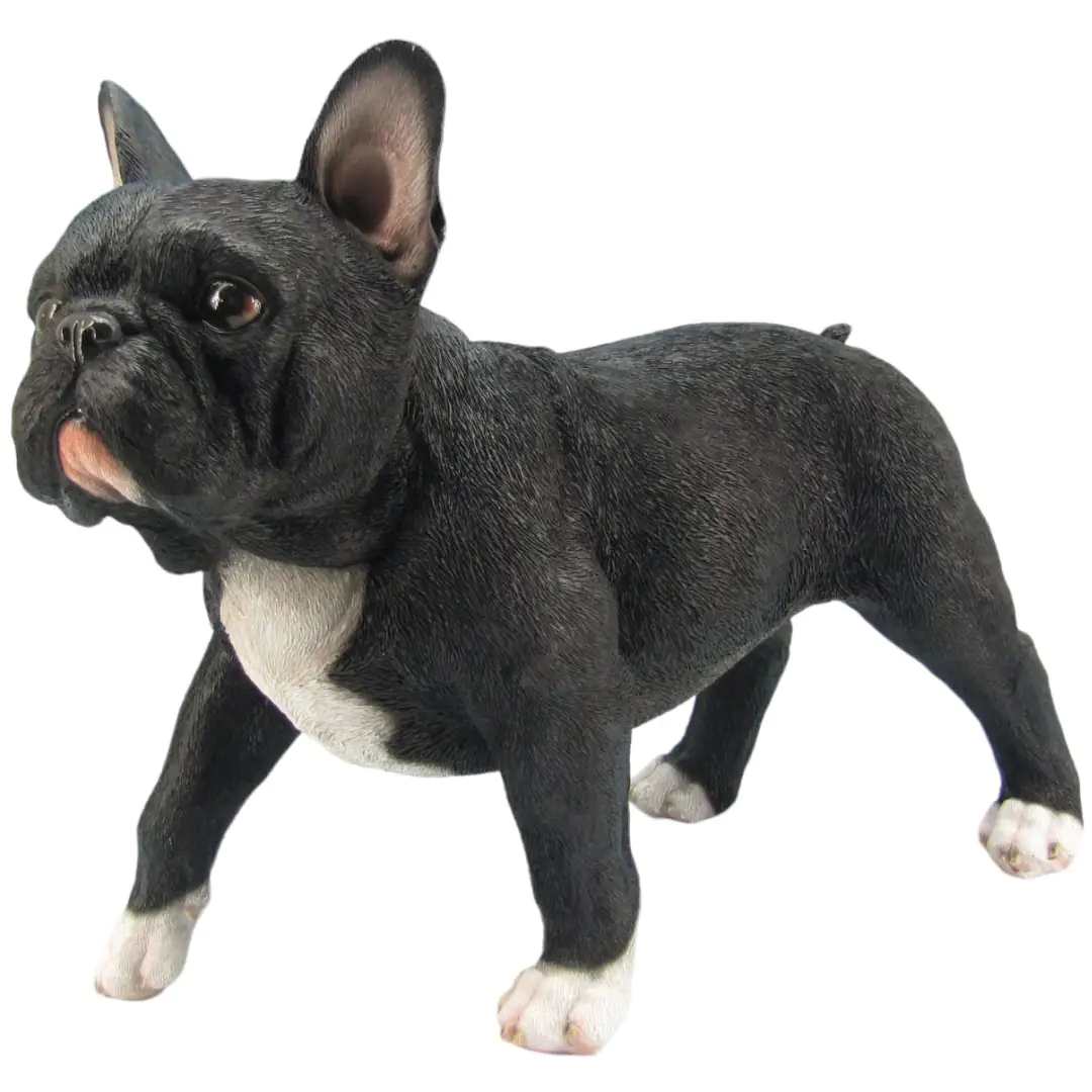 Dekofigur Französische Bulldogge stehend 36 x 30 x 16 cm schwarz weiß