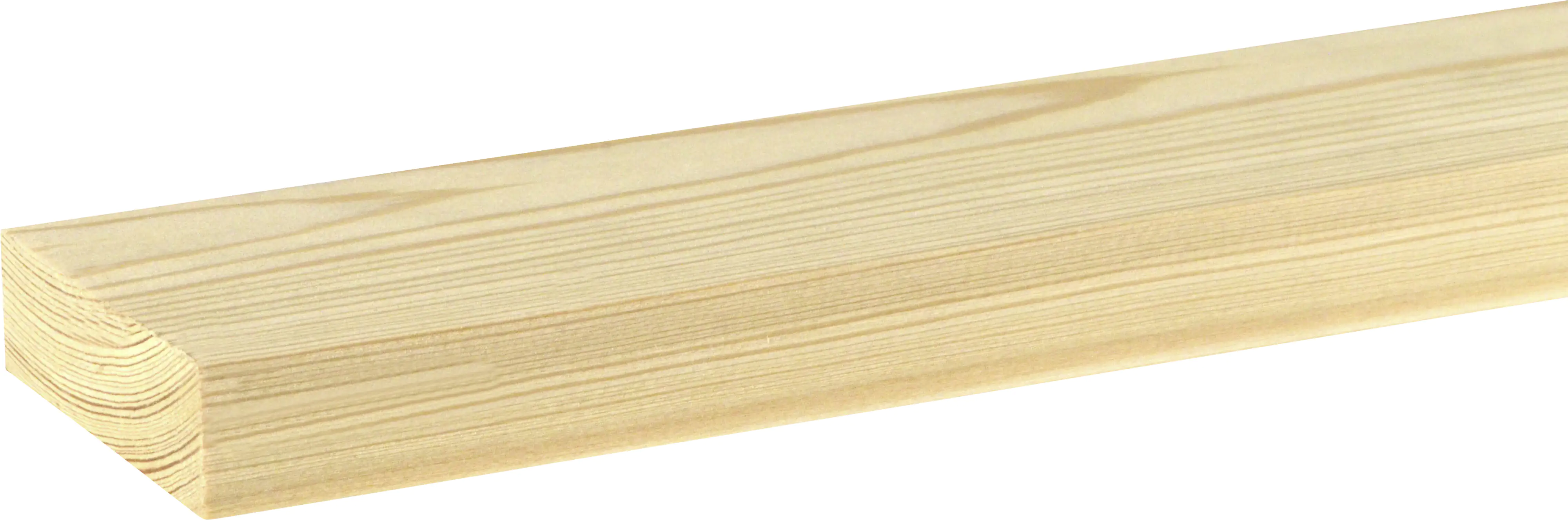 FN Neuhofer Flachleiste 200 cm 58,5 x 18,7 mm Lärche roh