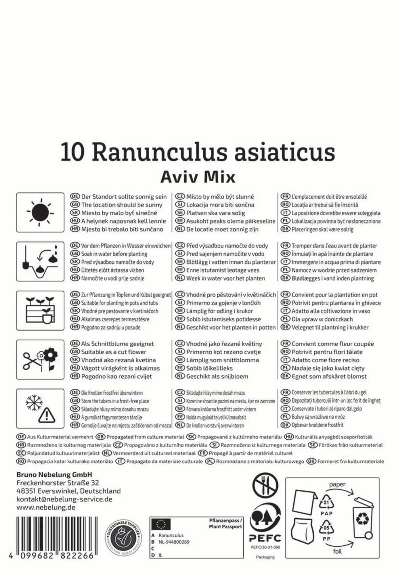 Kiepenkerl Frühjahrsblumenzwiebel Ranunkeln Mischung Aviv Mix 10 Stück