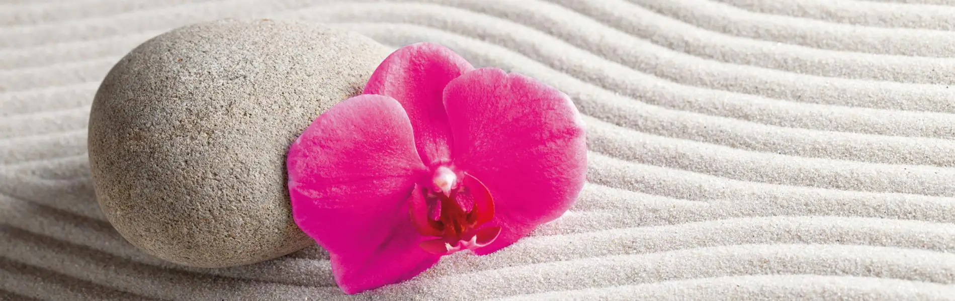 4251050588604 Deco-Panel Bild - Orchidee im Sand 145 x 45 cm