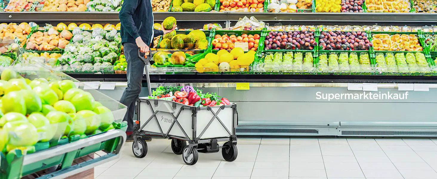 Litheli Bollerwagen 450 W W1 Pro, inkl. Akku 4.0 Ah