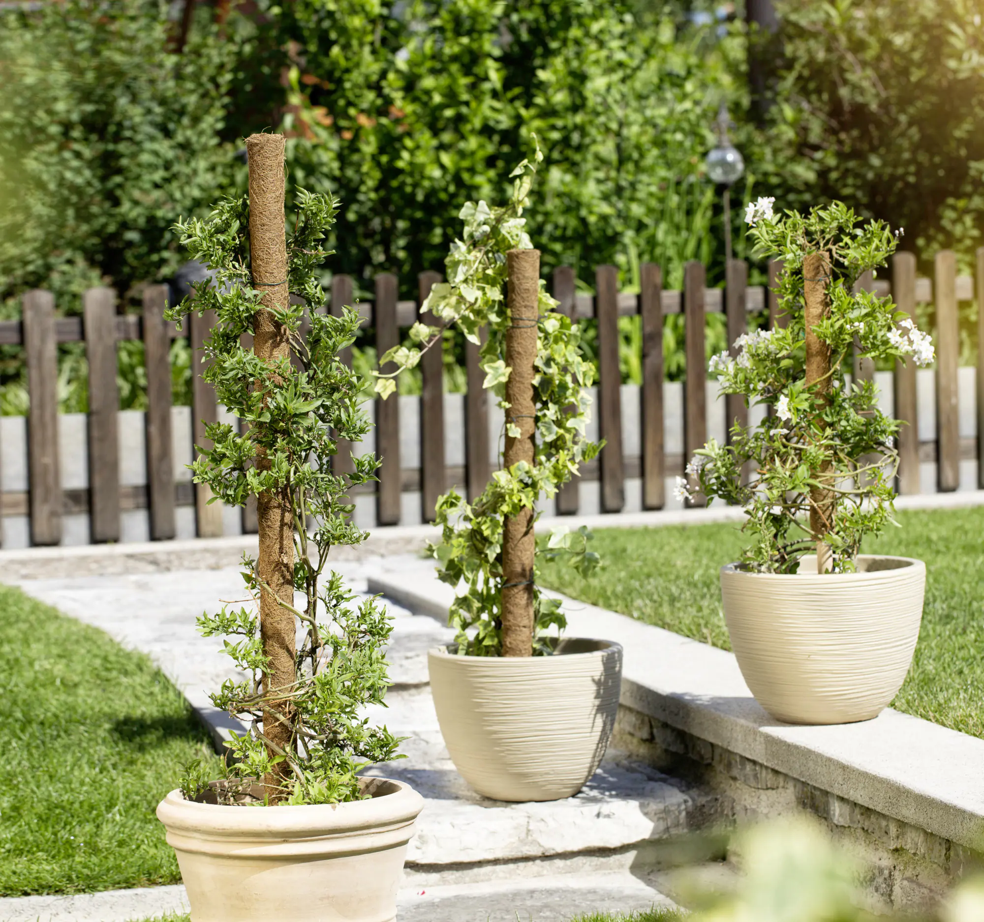 Windhager Kokos-Pflanzstab 110 cm