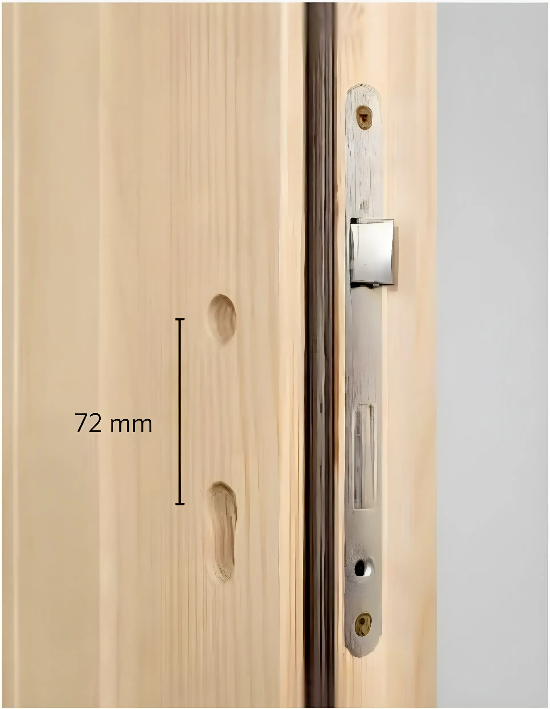 Panto Nebeneingangstür Holz 506 98 x 198 cm DIN links