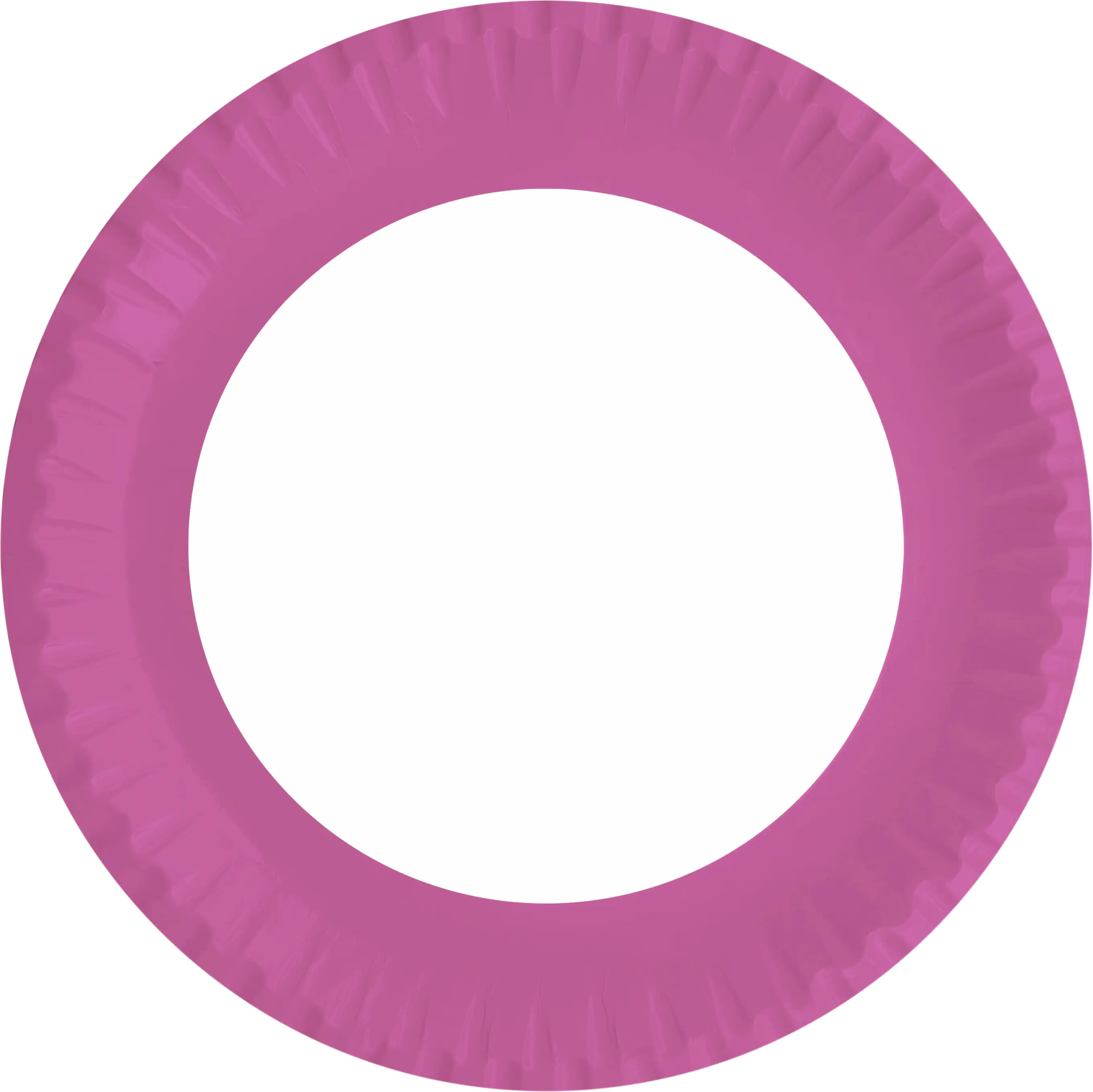 Braun & Company Pappteller Ø 23 cm hortensia 10 Stück