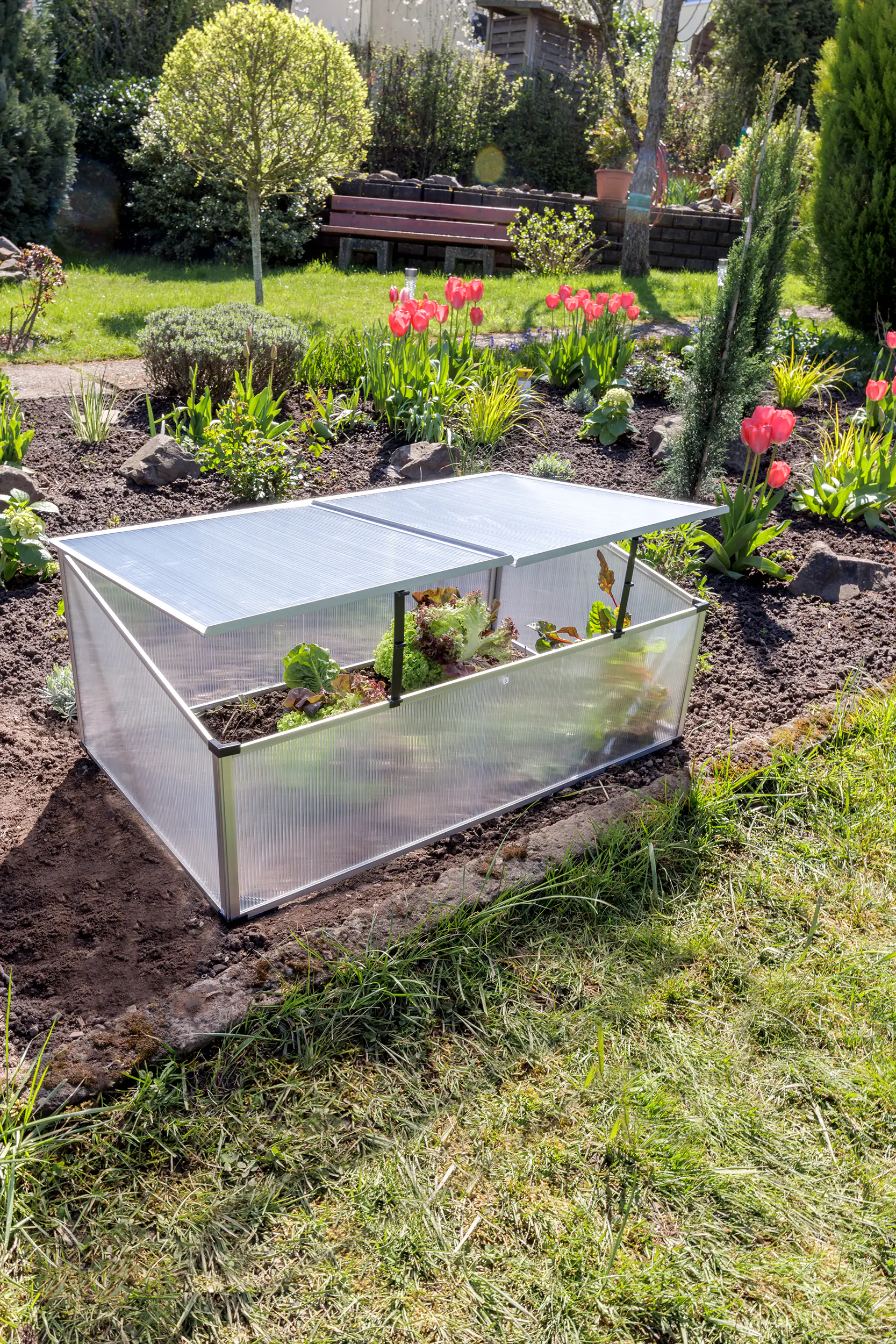 TrendLine Frühbeet Alu 100 x 60 x 30 cm