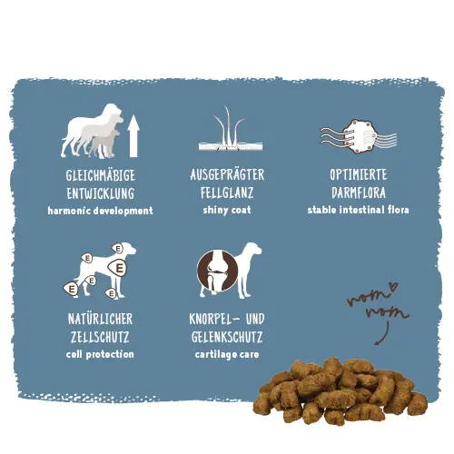 Bosch Trockenfutter für große Hunde Maxi Junior 1 kg Bosch Trockenfutter für große Hunde Maxi Junior 1 kg