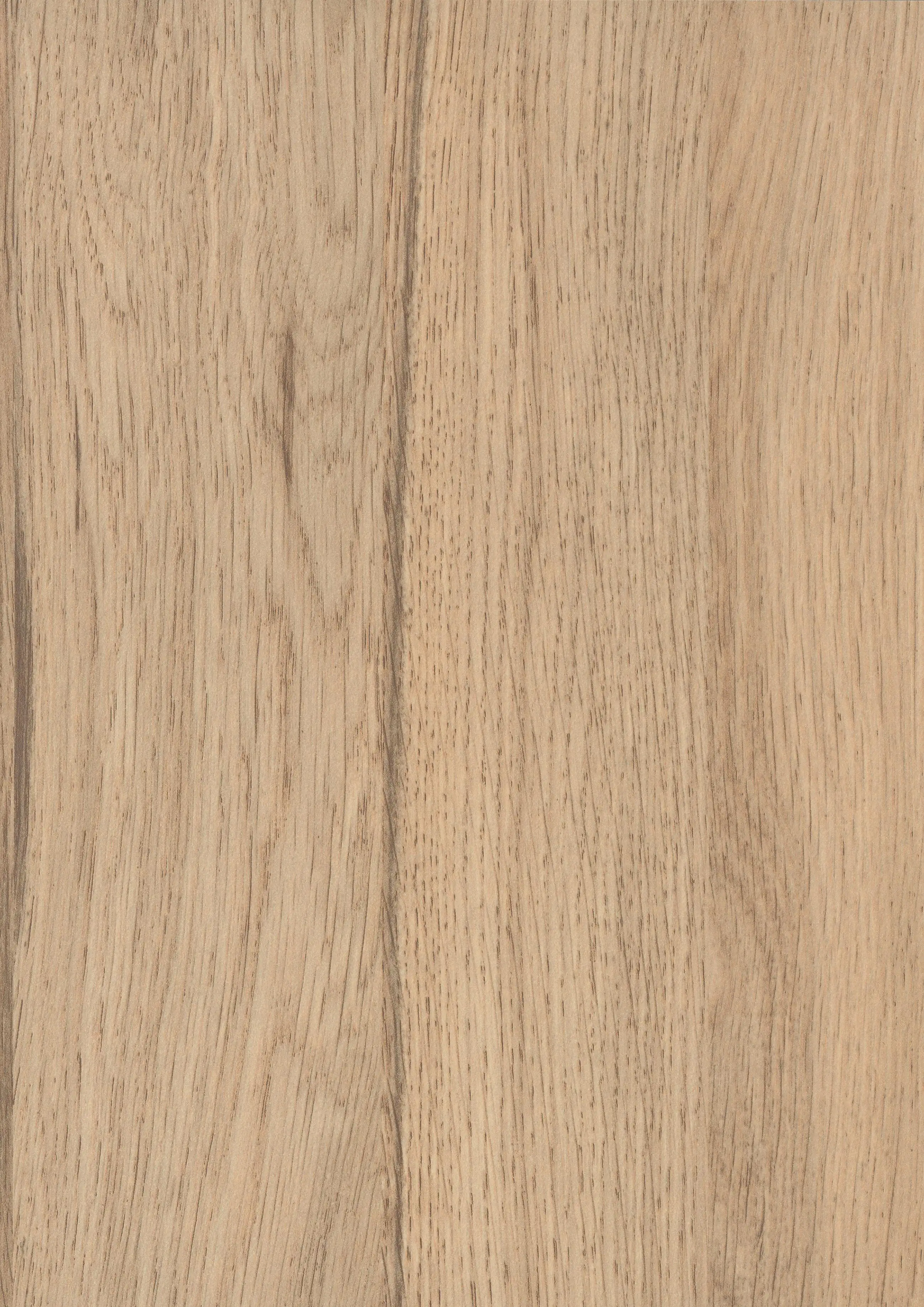 GetaElements Wandanschlußprofil Plus Ei370 Fjord Eiche 300x2x3 cm