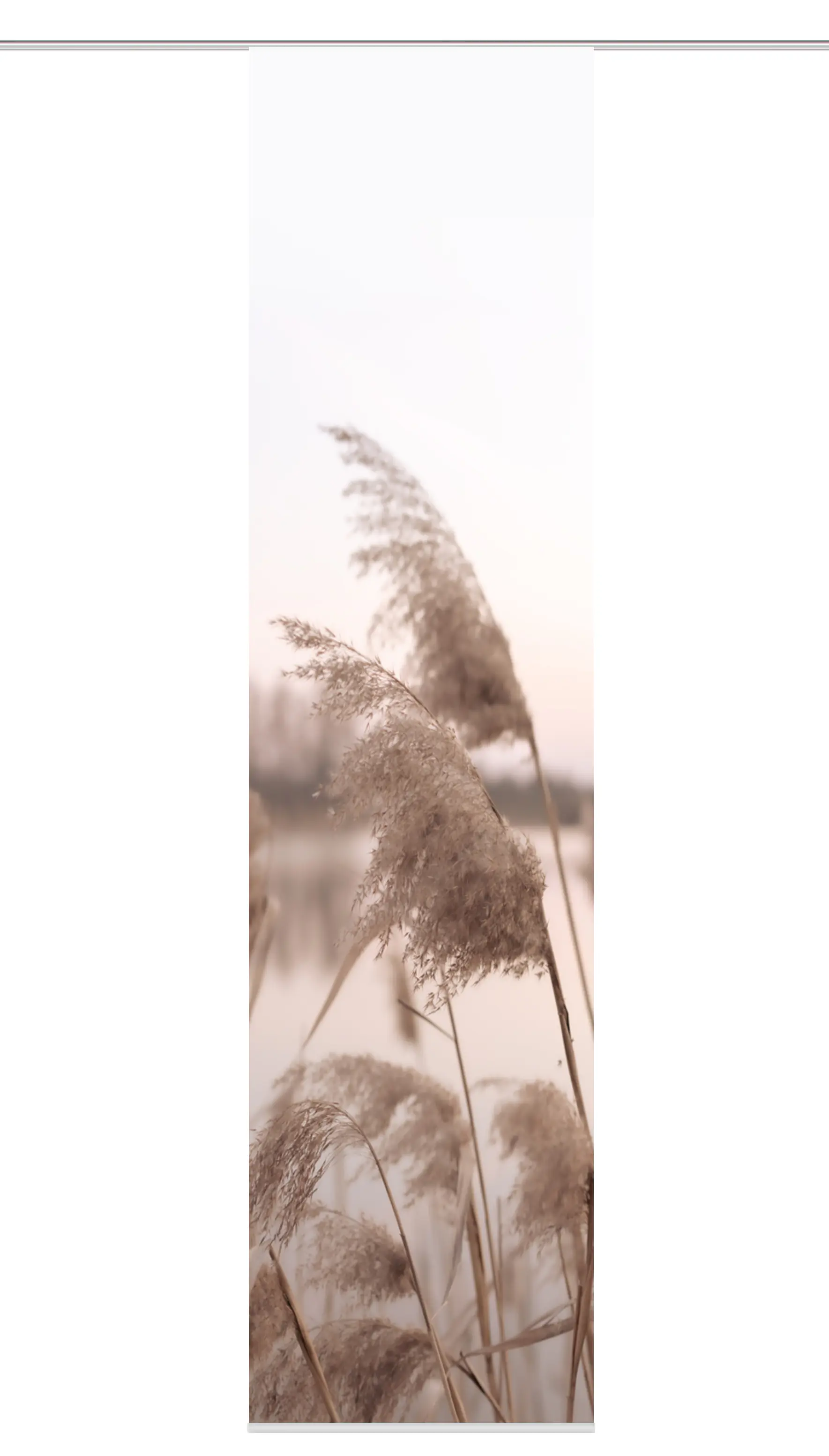 Home Wohnideen Schiebegardine Trawy 245 x 60 cm natur