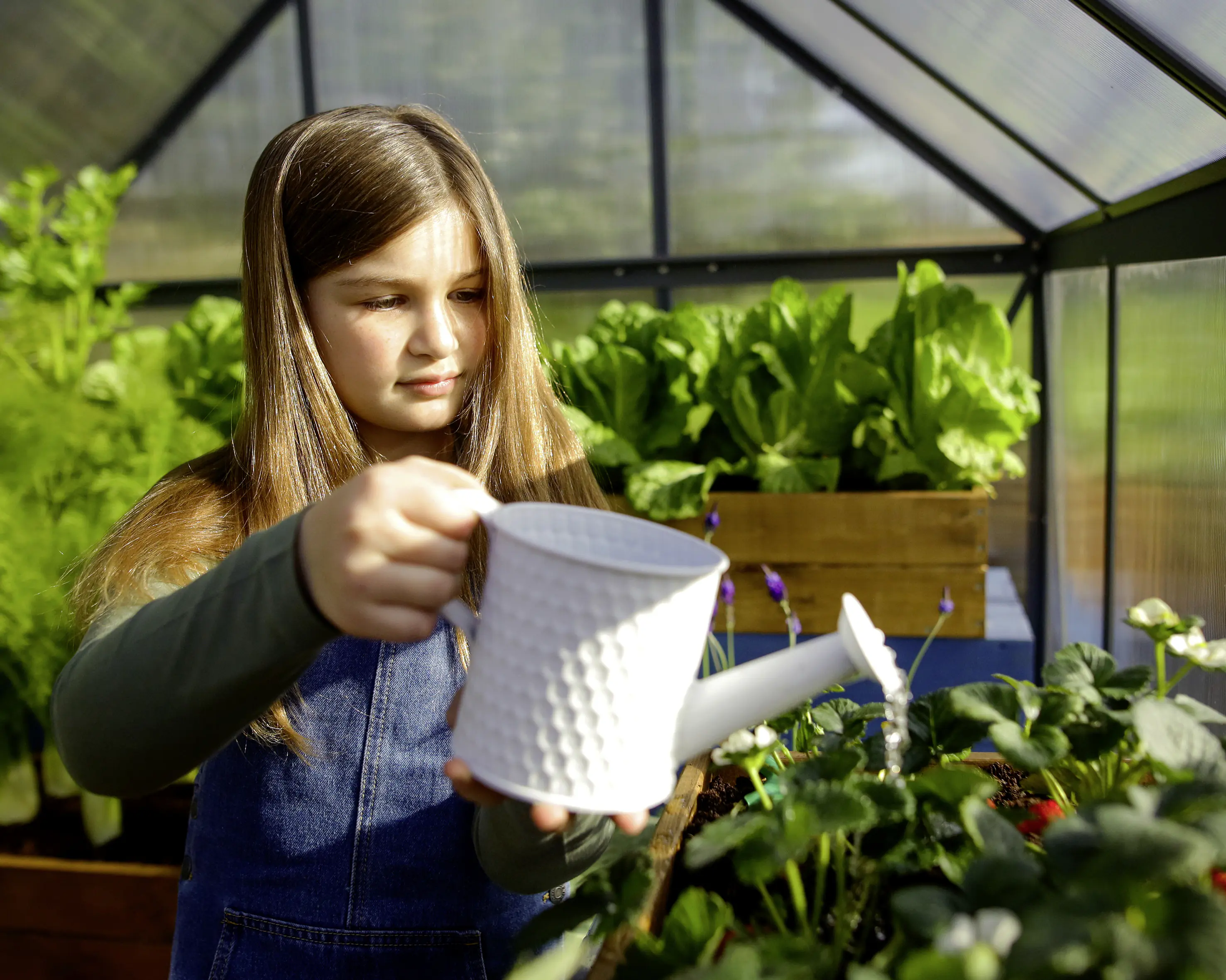 Canopia Gewächshaus Mythos  Alu grau 306 x 185 cm