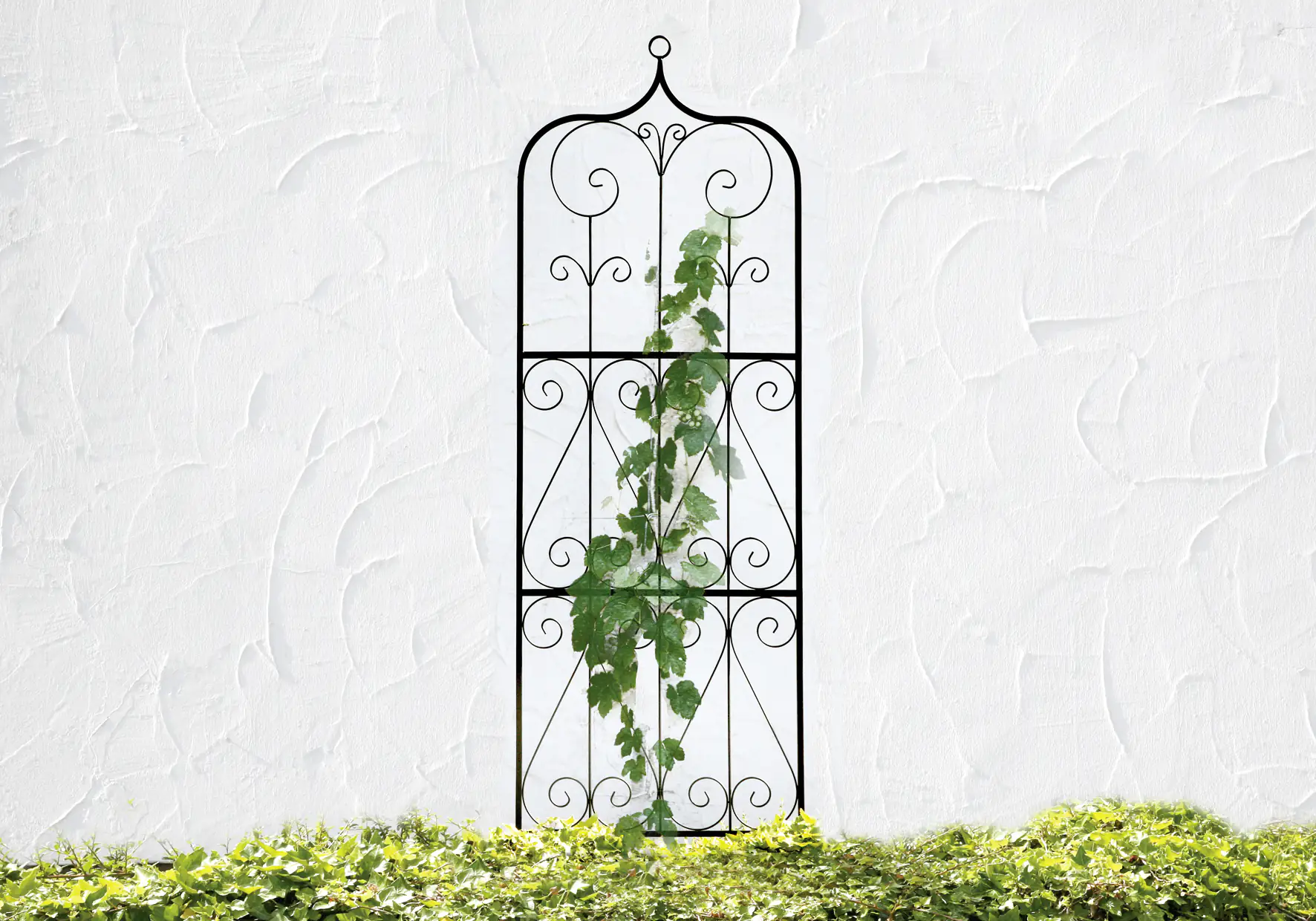 Floraworld Ornament Spalier Comfort 60x198cm 60 x 198 cm