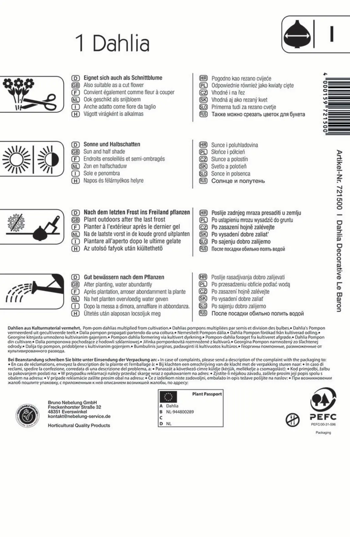 Kiepenkerl Dekorative Dahlie  Le Baron