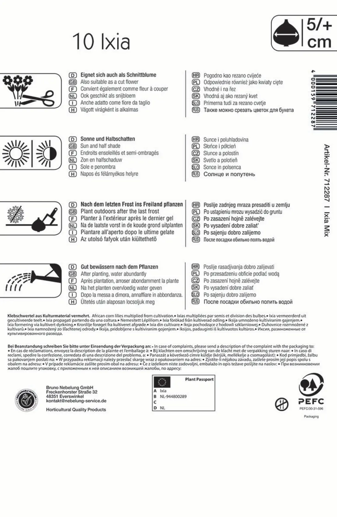 Kiepenkerl Blumenzwiebel Ixien Mischung Ixia x Hybrida, Inhalt: 10 Stück