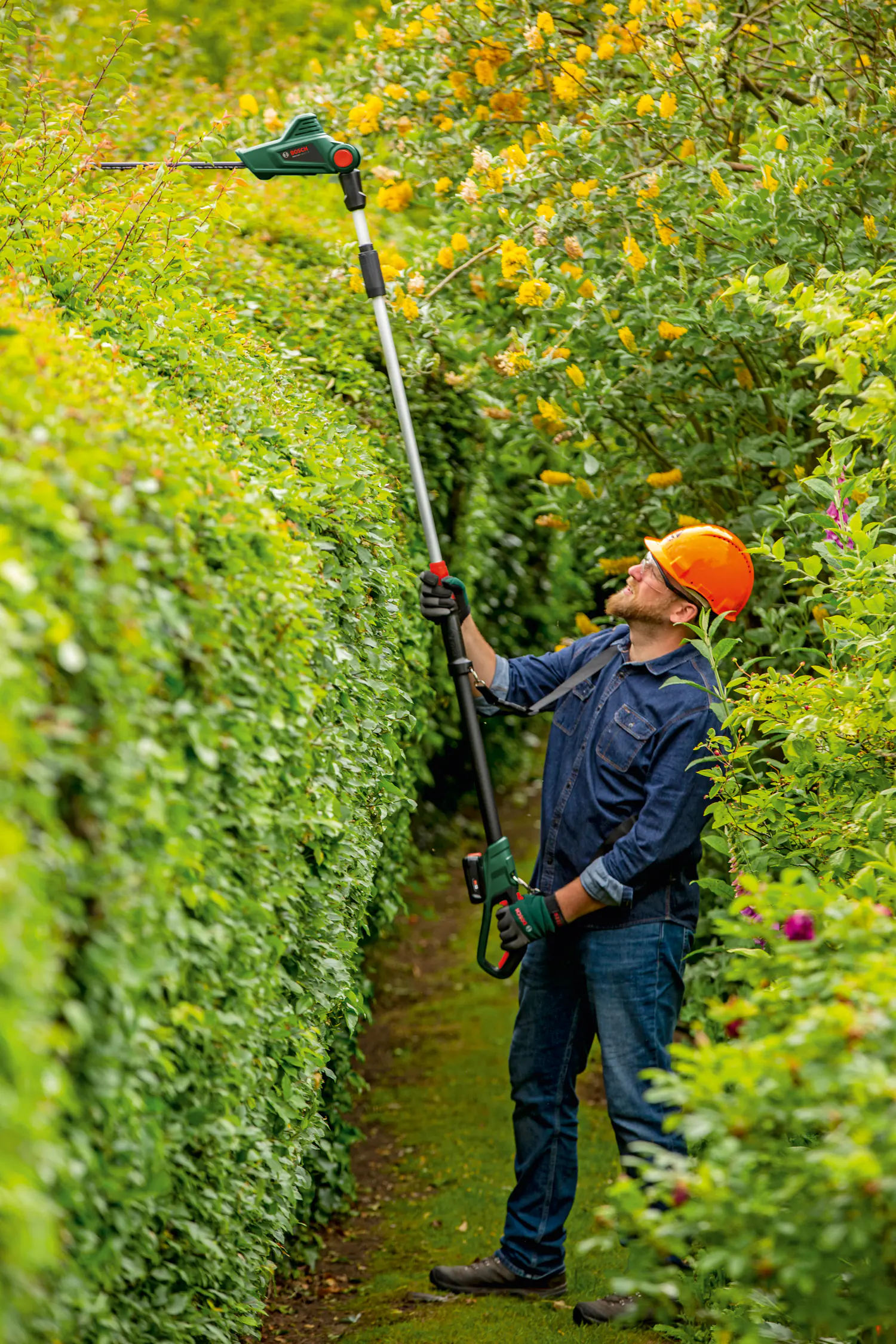Bosch Akku-Heckenschere UniversalHedgePole 18 Solo