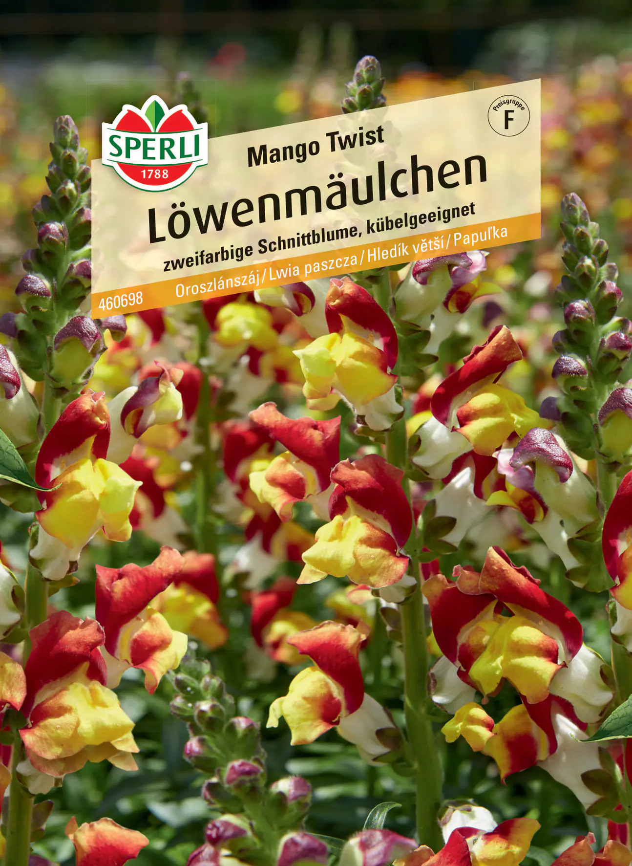 Sperli Löwenmäulchen Mango Twist