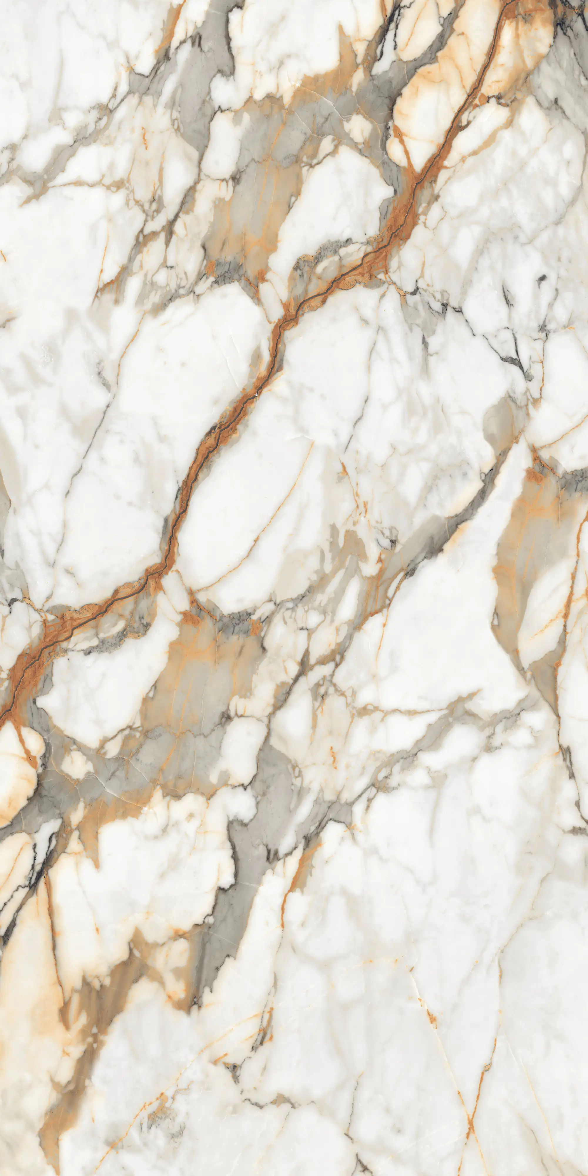 Bodenfliese Feinsteinzeug Visage Gold Plus 120 x 240 cm weiß Bodenfliese Feinsteinzeug Visage Gold Plus 120 x 240 cm weiß