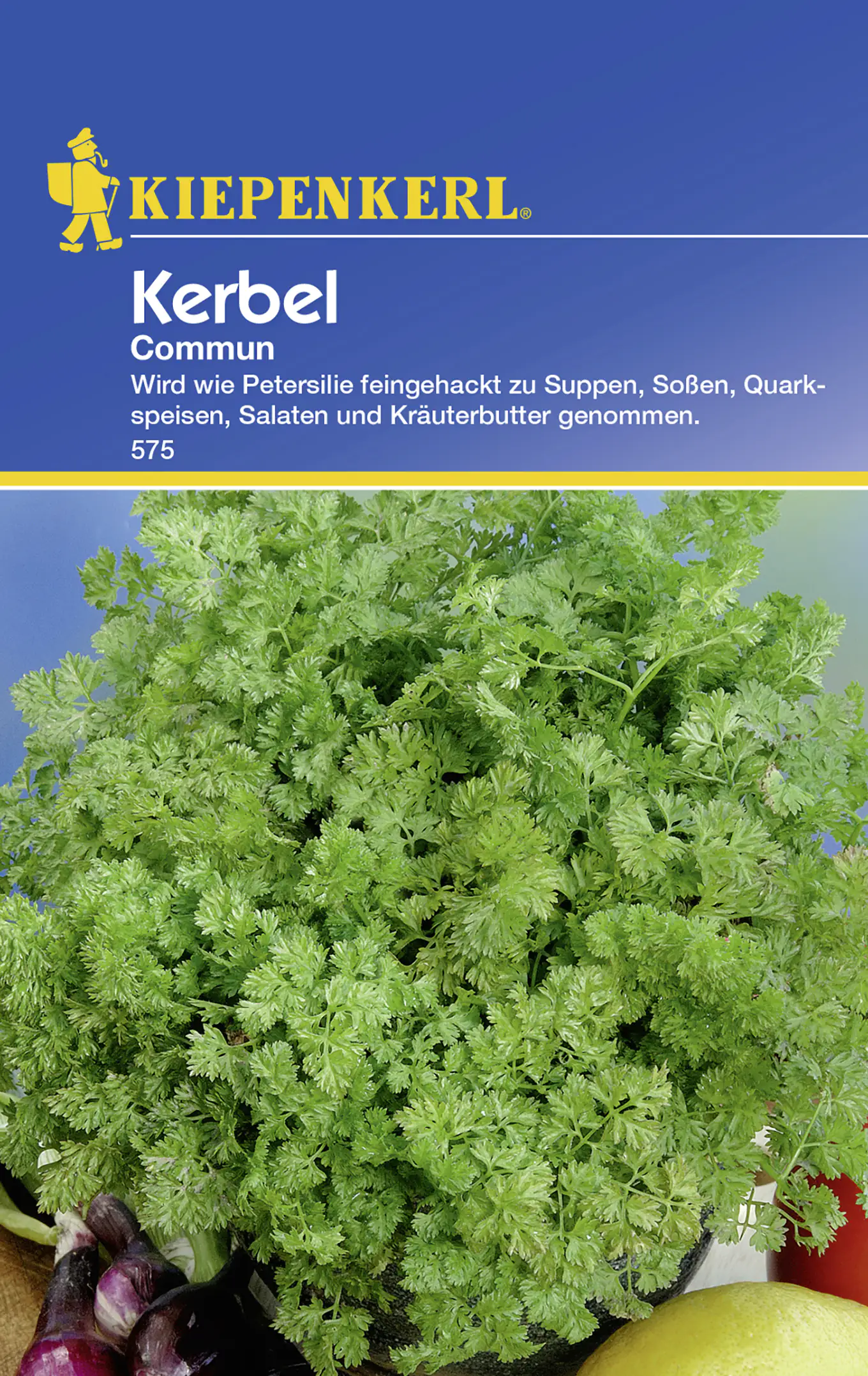 Kiepenkerl Kerbel Commun Anthriscus cerefolium, Inhalt: ca. 200 Pflanzen Kiepenkerl Kerbel Commun Anthriscus cerefolium, Inhalt: ca. 200 Pflanzen