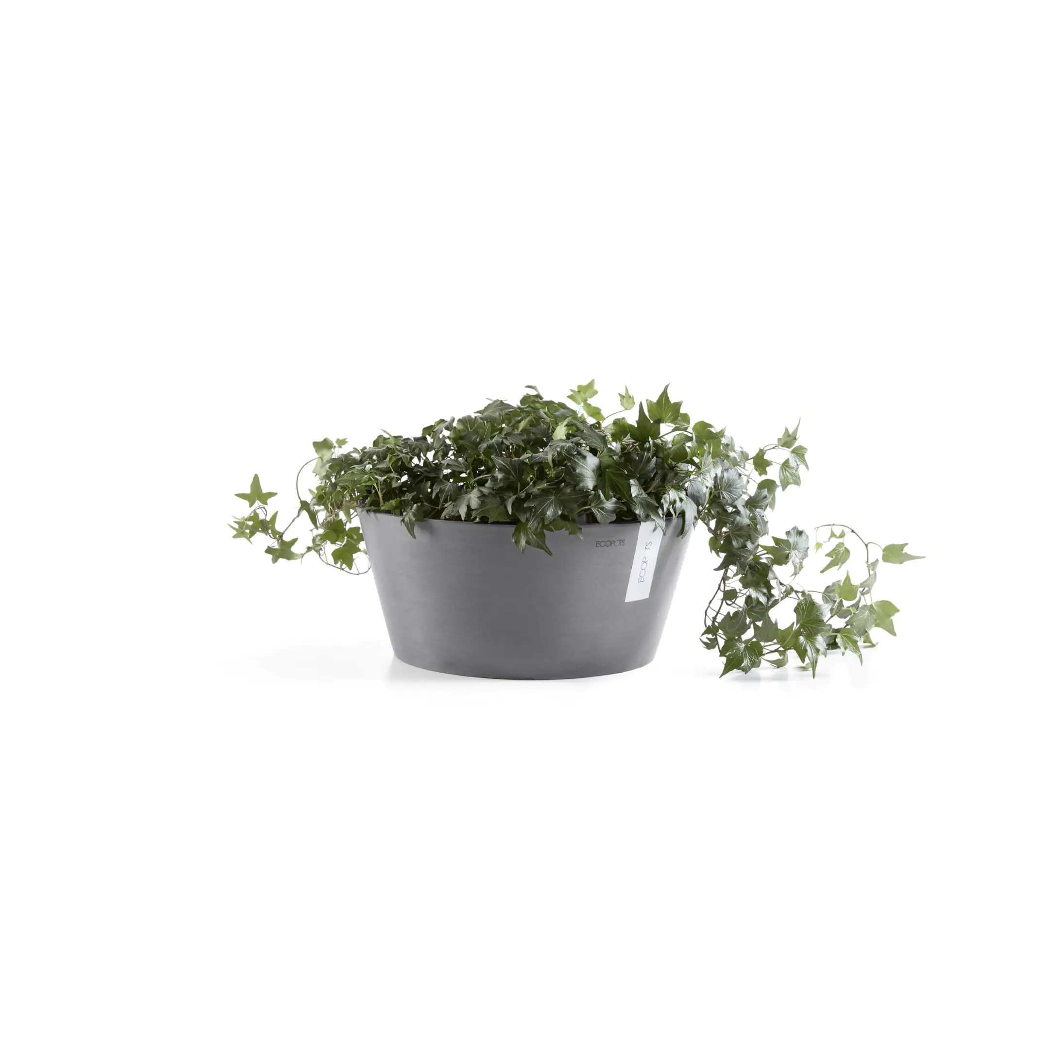 Ecopots Pflanztopf Frankfurt Ø 41 x 18 cm grau Ecopots Pflanztopf Frankfurt Ø 41 x 18 cm grau