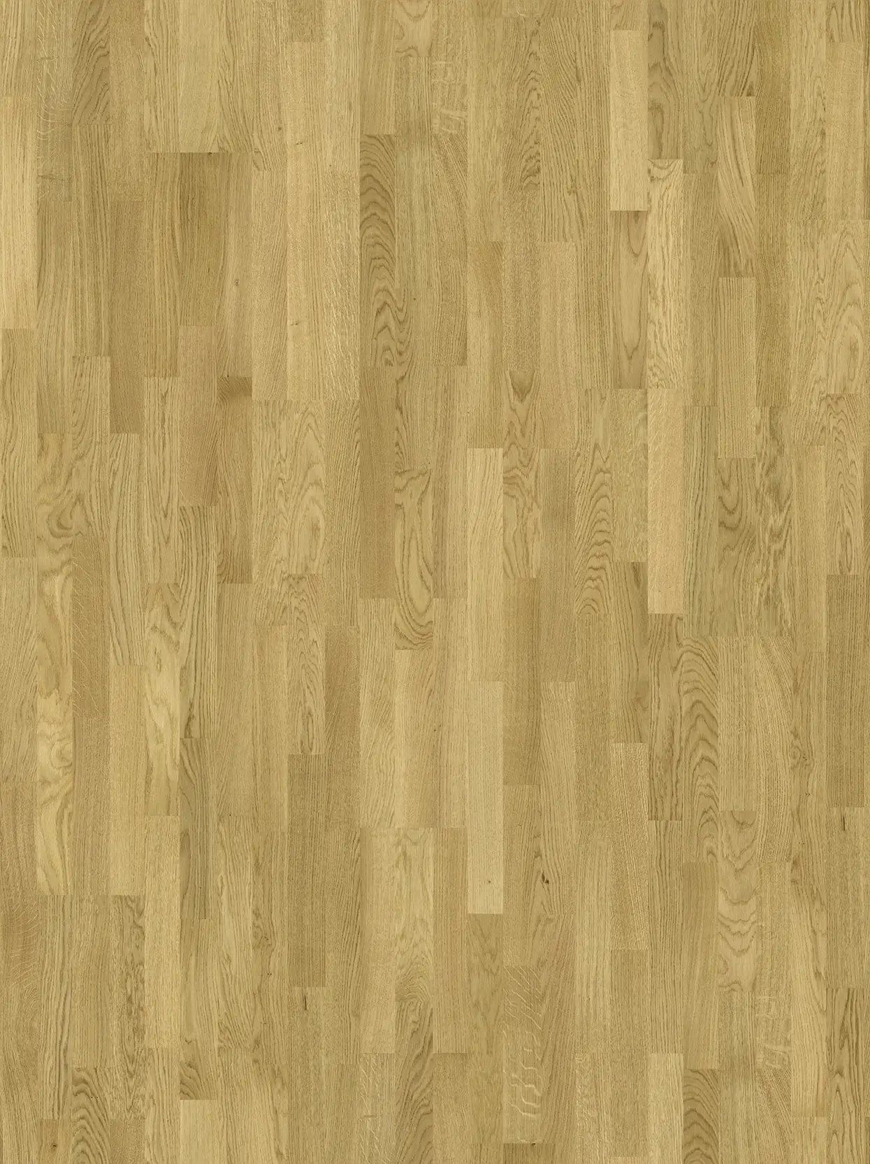 Parador Parkett Basic 11-5 Natur Eiche lackversiegelt matt