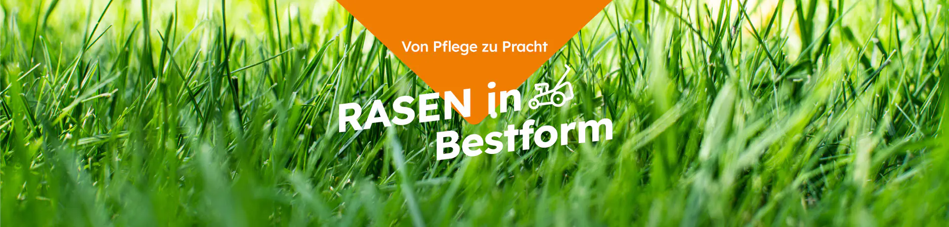 Grüner Rasen aus Nahaufnahme; Bannertext: „Von Pflege zu Pracht – RASEN in Bestform“ mit Rasenmäher-Icon.