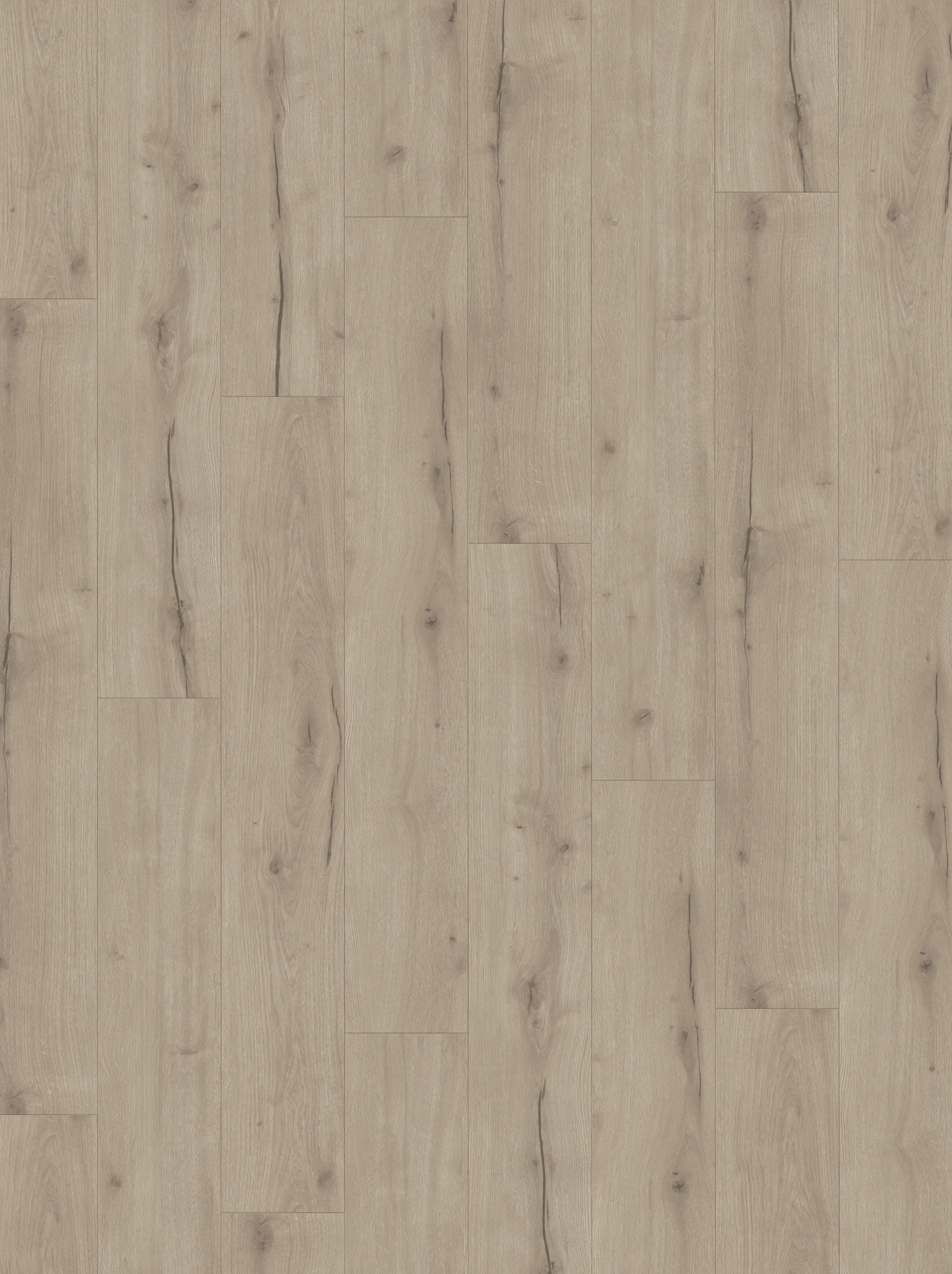 Parador Designboden mit Trittschalldämmung Modular One Eiche Helios grau Parador Designboden mit Trittschalldämmung Modular One Eiche Helios grau