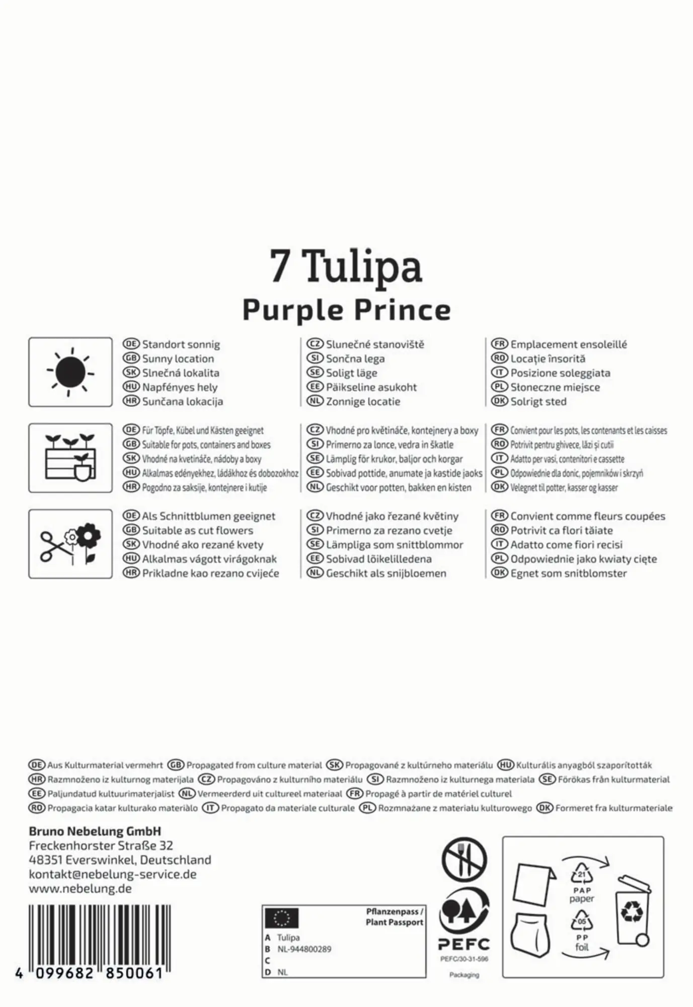 Kiepenkerl Herbstblumenzwiebel Einfache Frühe Tulpe Purple Prince 7 Pflanzen