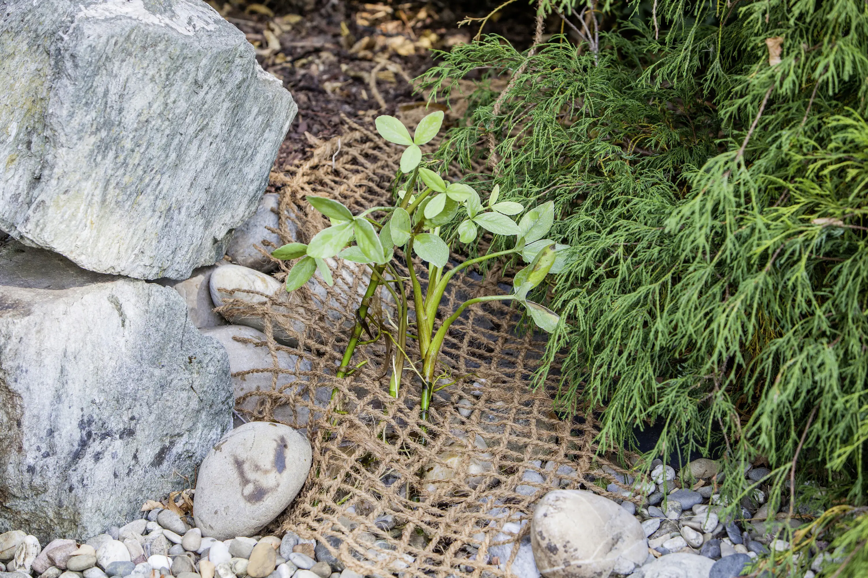 Heissner Anpflanzhilfe / Böschungsmatte 1 x 5m