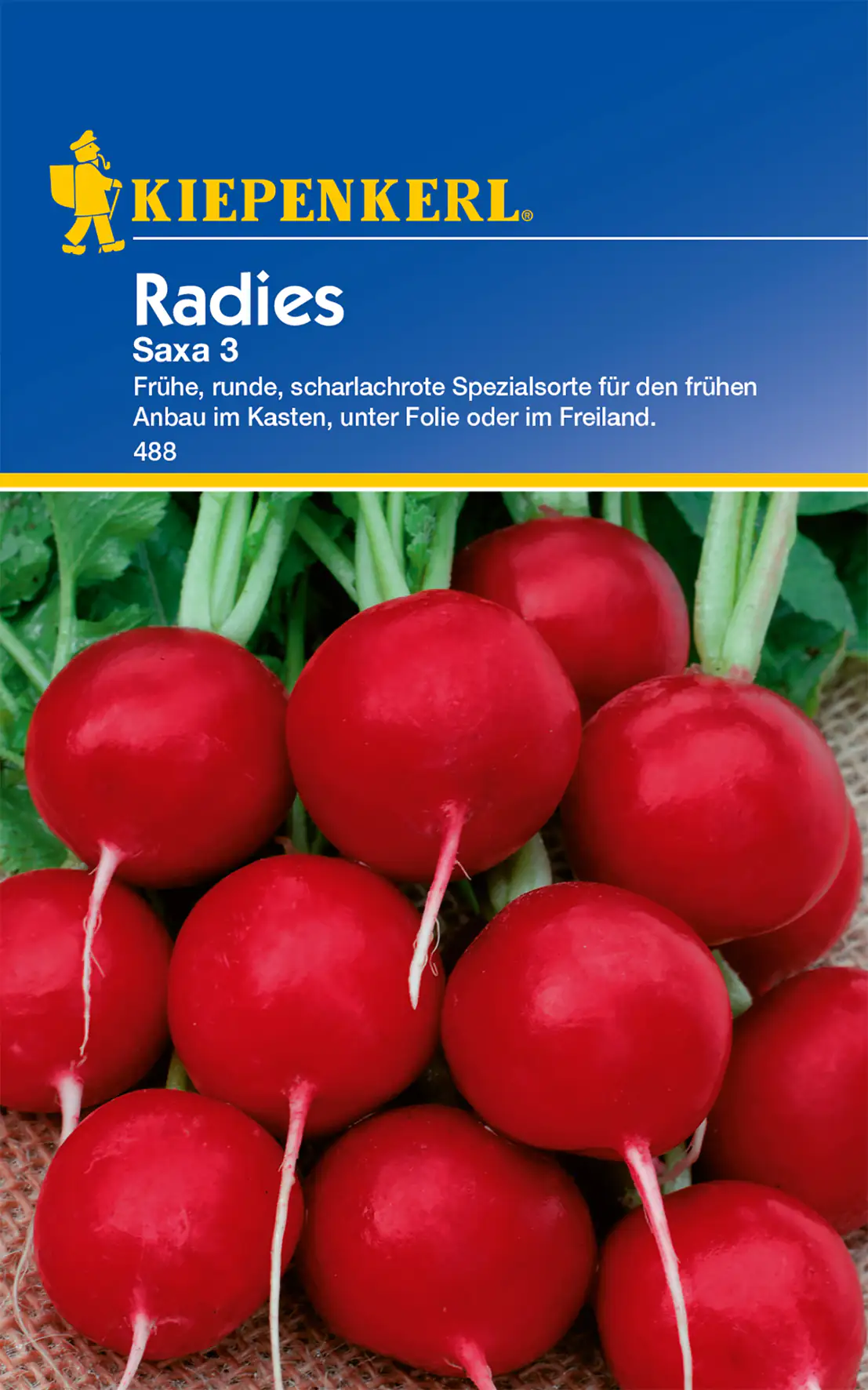 Kiepenkerl Radieschen Saxa 3