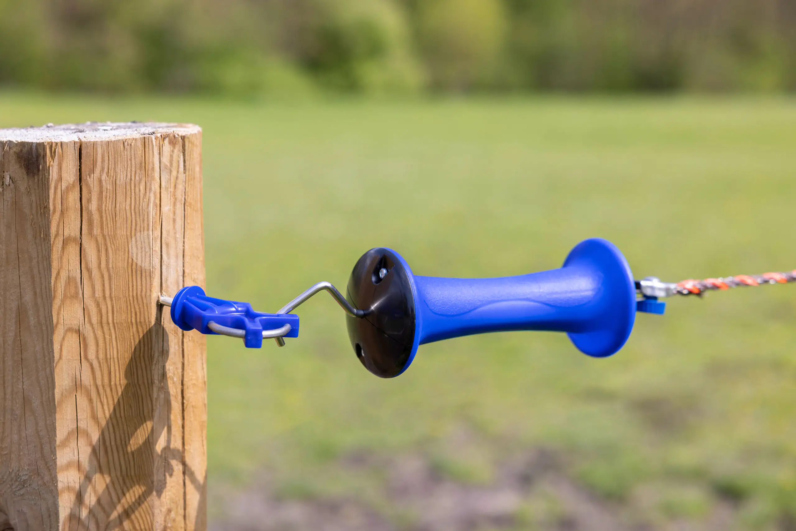 Kerbl Premium Torgriff Kunststoff blau