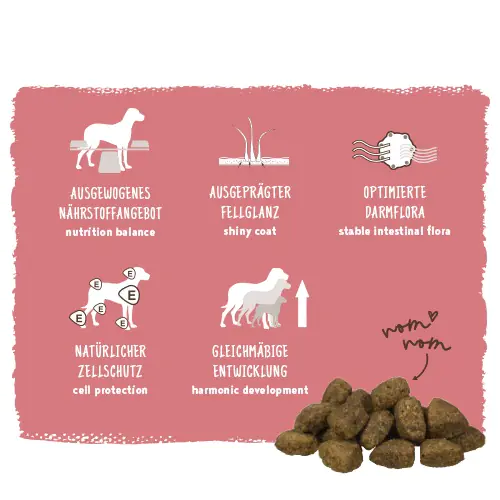 Bosch Trockenfutter für Hunde Adult 3 kg mit Lamm & Reis Bosch Trockenfutter für Hunde Adult 3 kg mit Lamm & Reis
