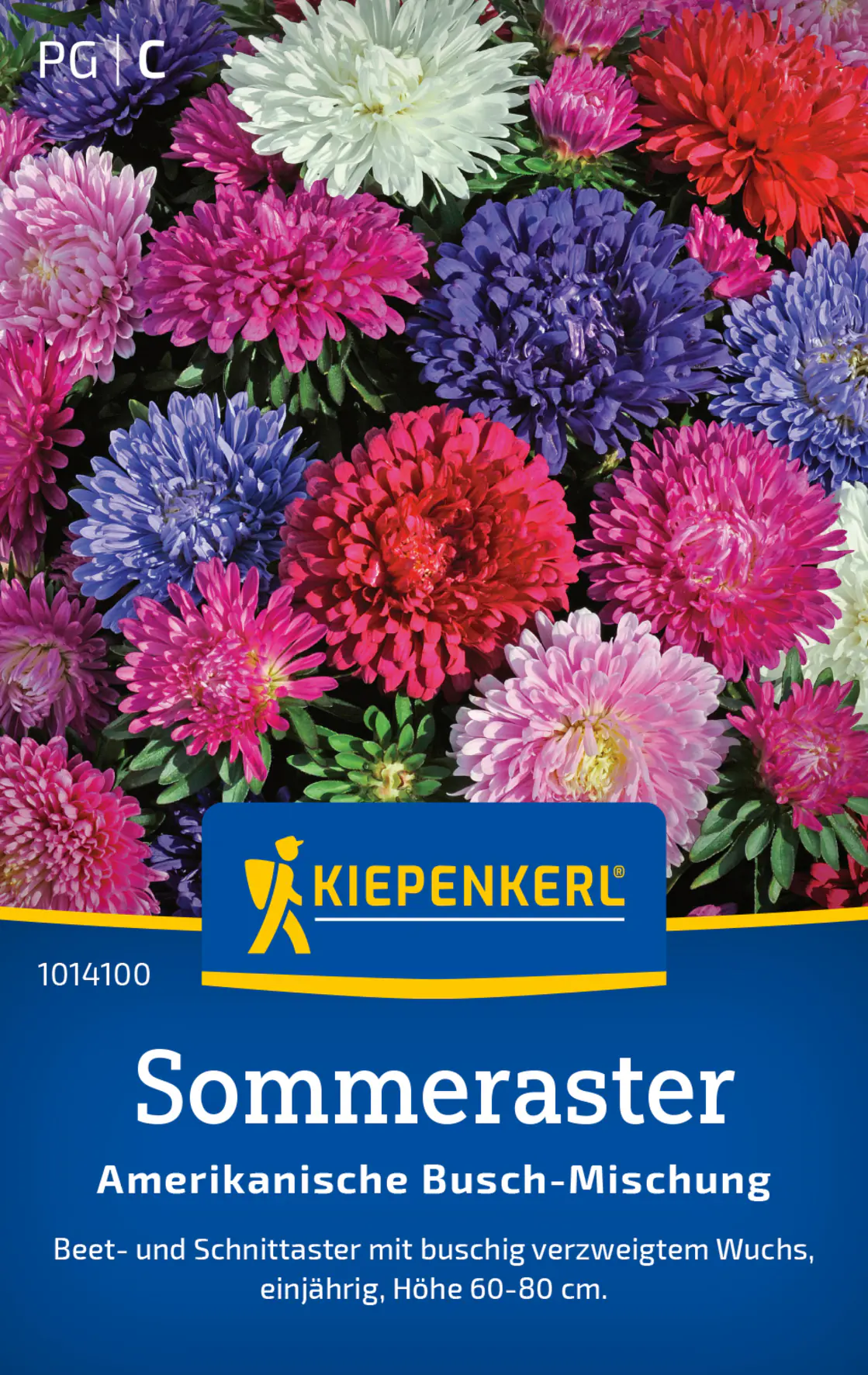 Kiepenkerl Blumensamen Sommeraster Amerikanische Busch-Mischung für ca. 70 Pflanzen